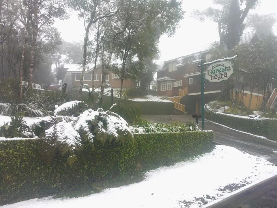 Property logo or sign in Pousada Floresta Negra