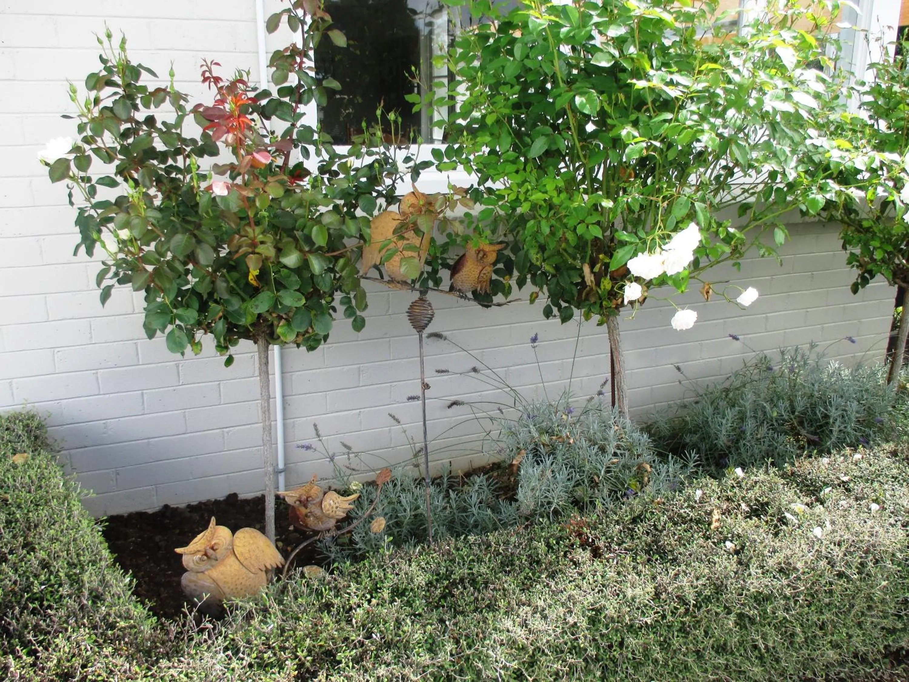 Facade/entrance in FatOwl Motel, Bar & Eatery