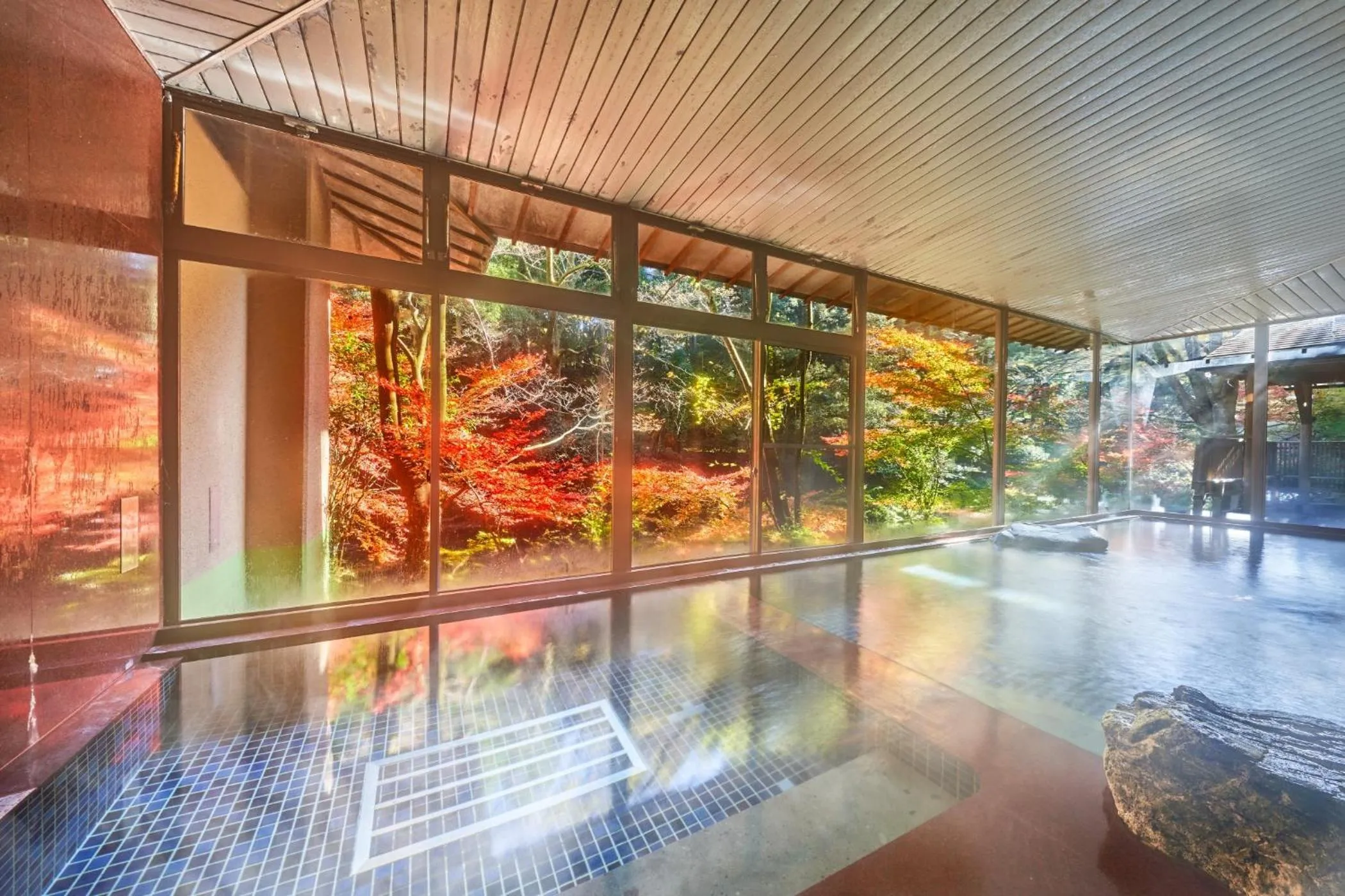 Hot Spring Bath in Ooedo Onsen Monogatari Premium Yoshinoya Irokuen