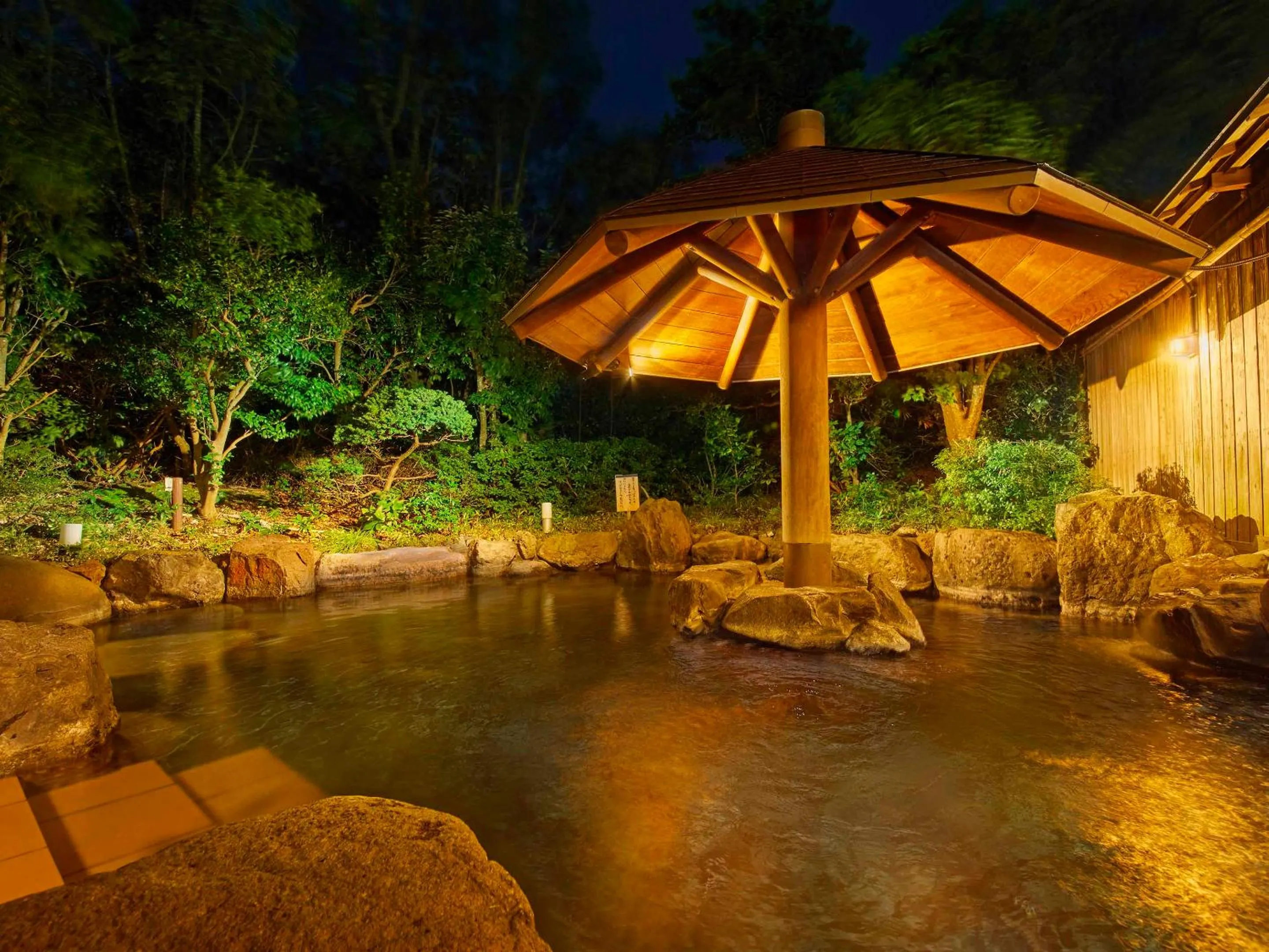 Hot Spring Bath in Ooedo Onsen Monogatari Premium Seiunkaku