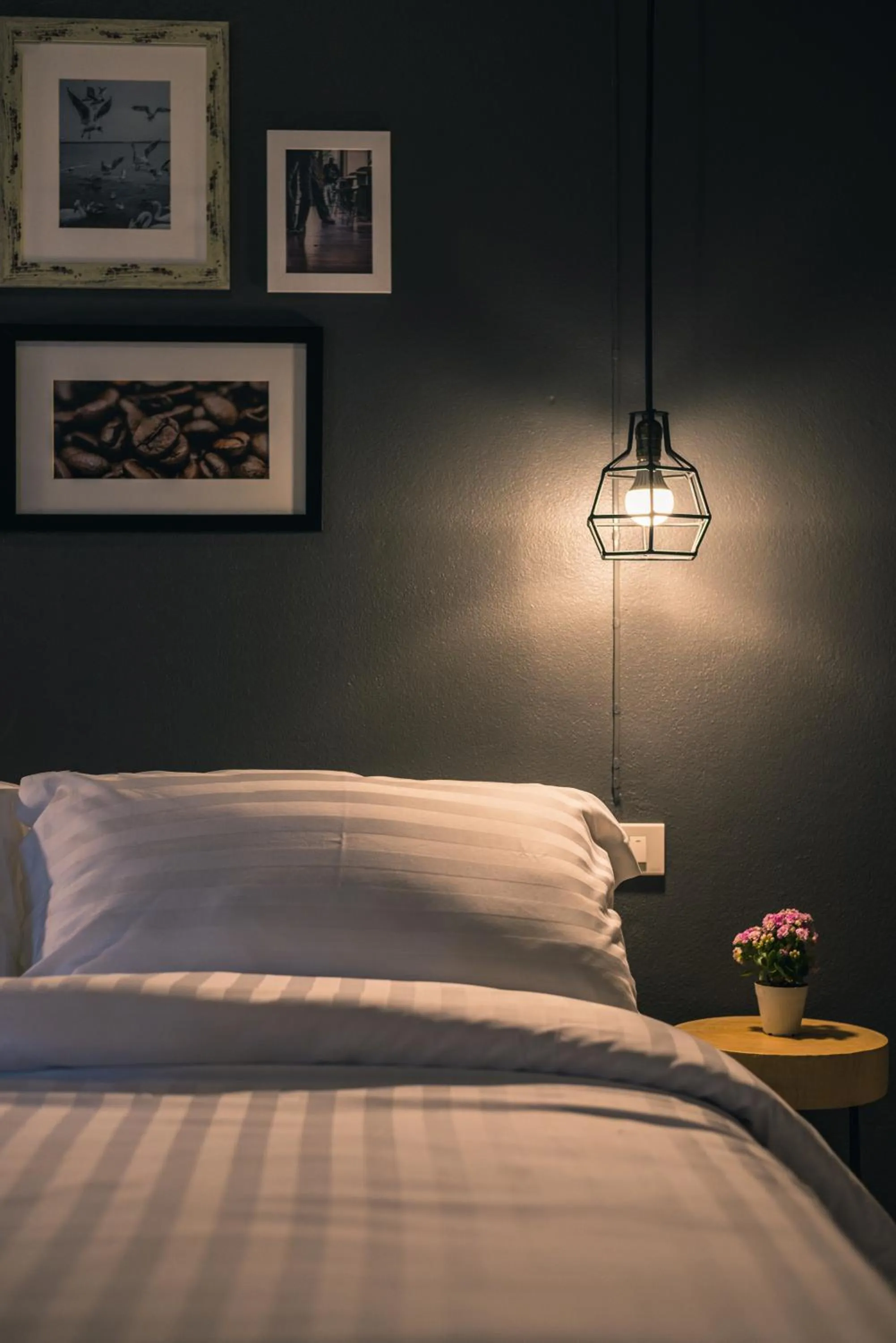 Photo of the whole room, Bed in Cozy Inn Chiang Mai