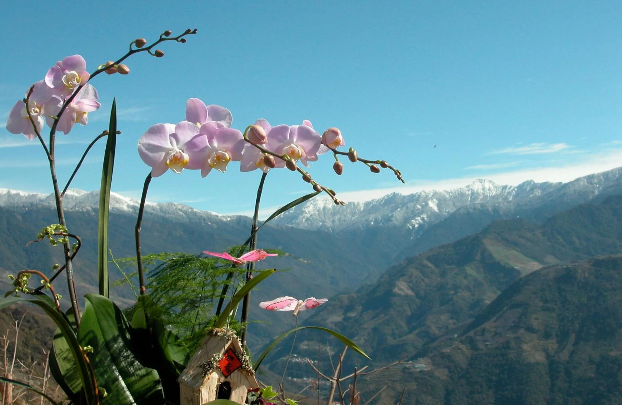 Nearby landmark in Dreamtown