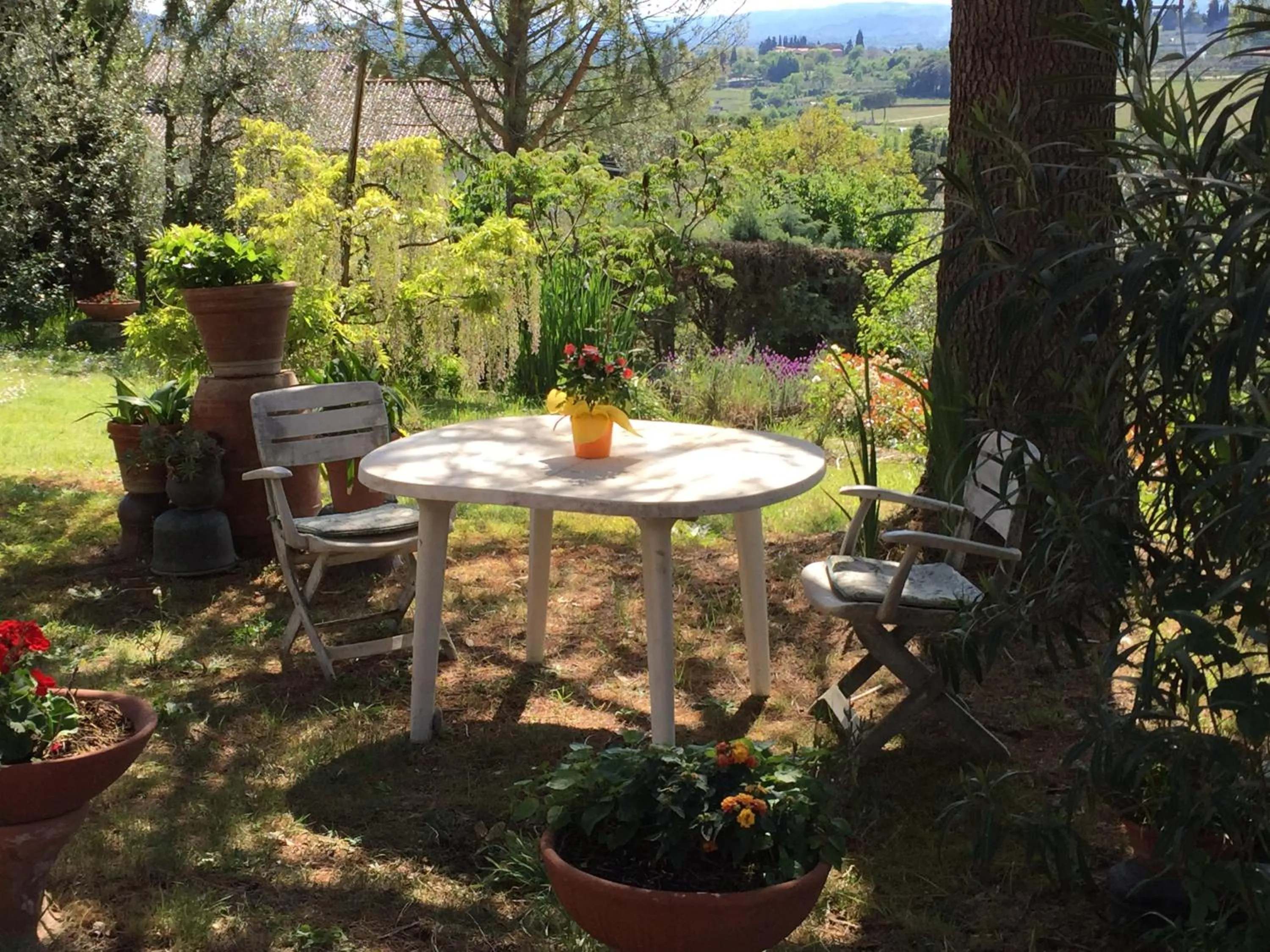 Garden in Da Piero e Paola