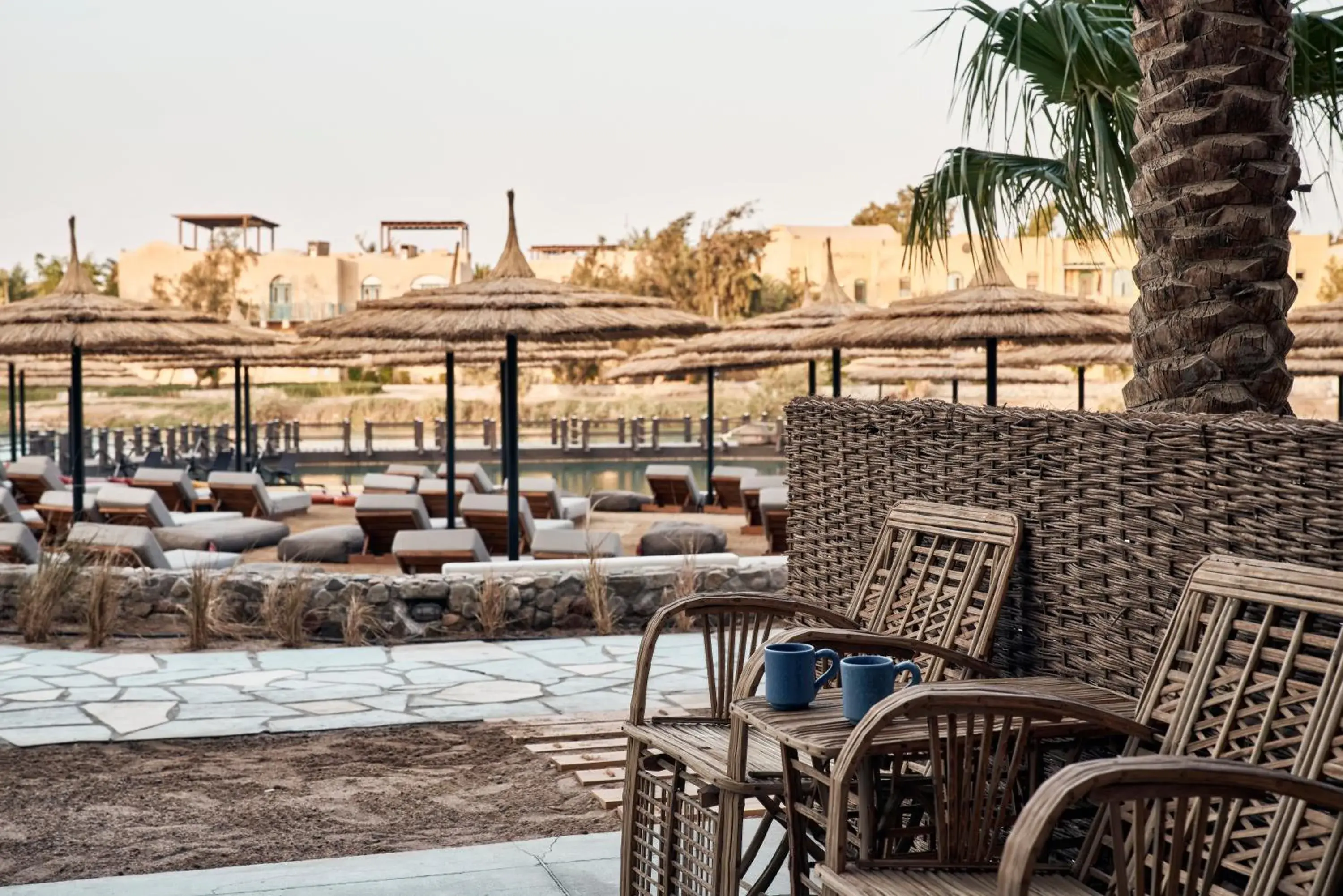 Premium Lagoon view Terrace - single occupancy in Cook’s Club El Gouna (Adults Only) Premium Lagoon view Terrace - single occupancy in Cook’s Club El Gouna (Adults Only)