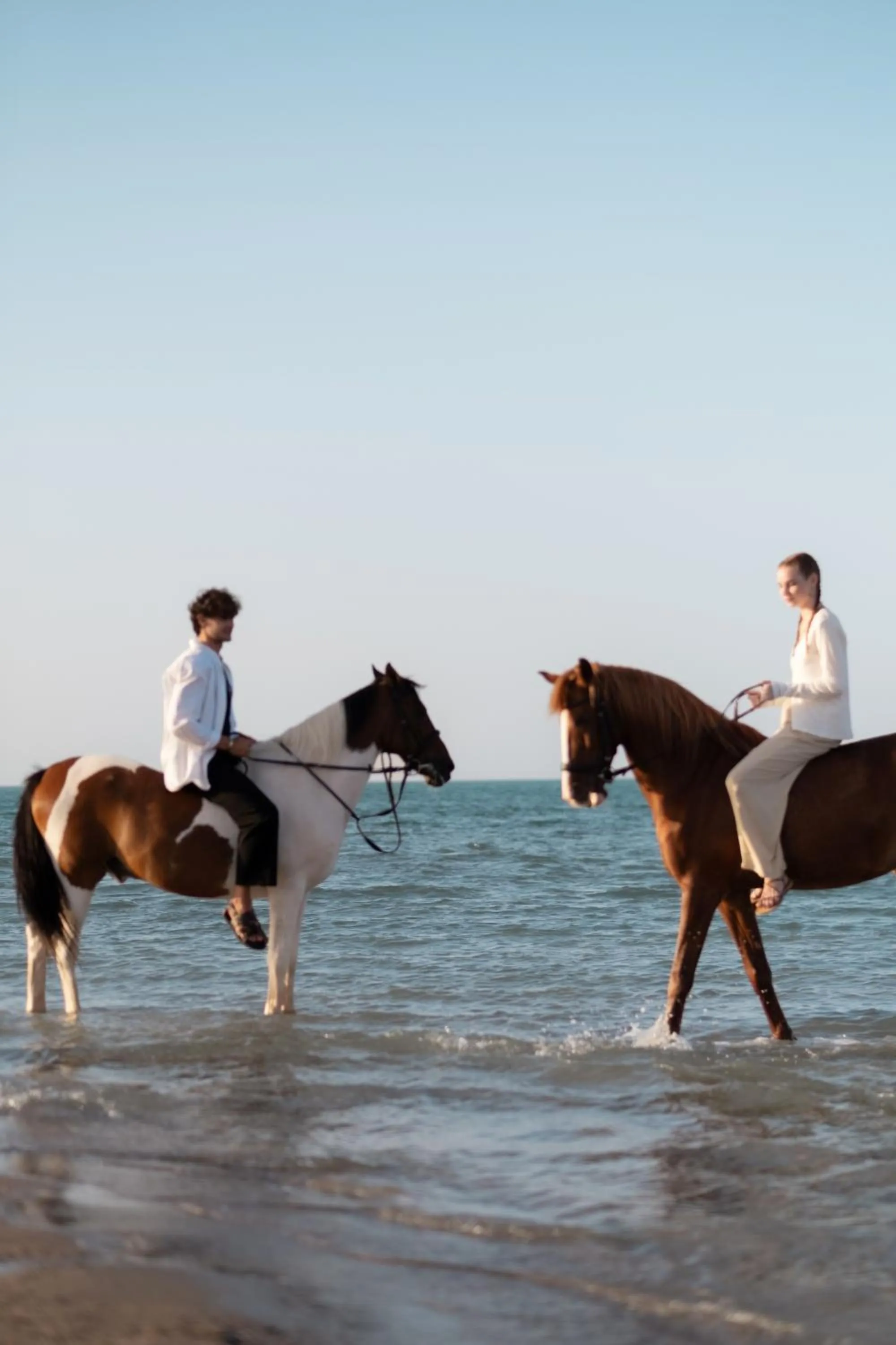 Horse-riding in Cook’s Club El Gouna (Adults Only)
