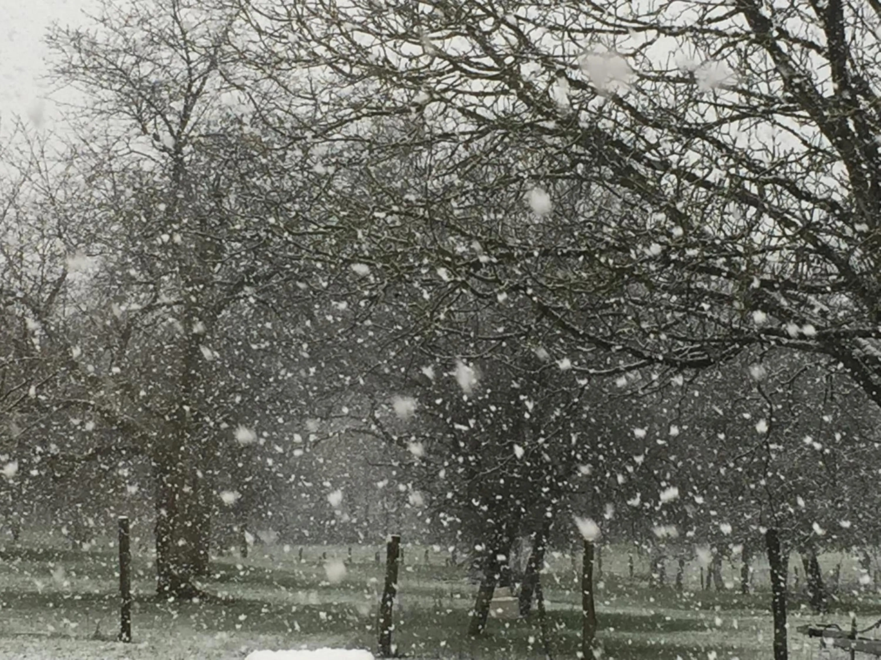 Property building in Bienvenue A La Campagne
