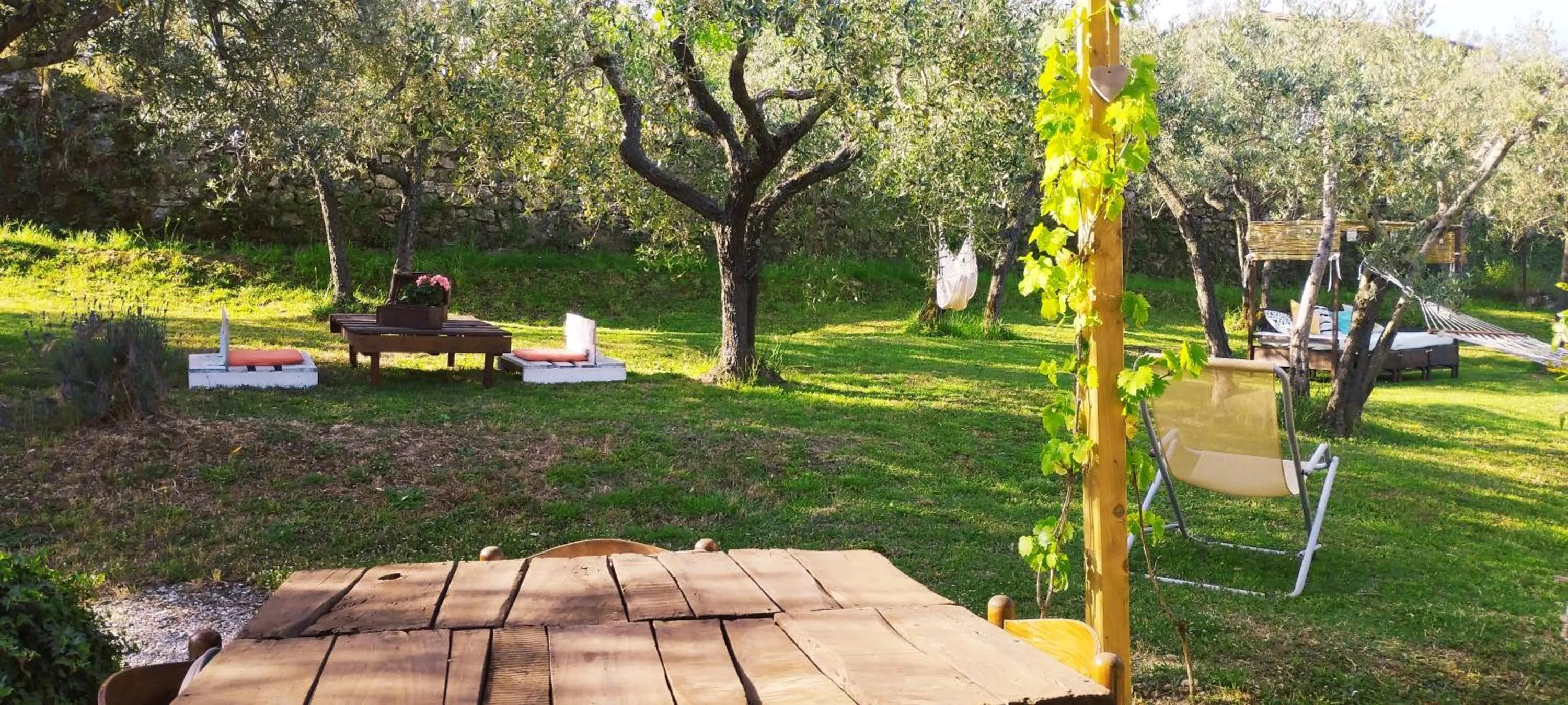 Garden in La Casa Tra Gli Ulivi