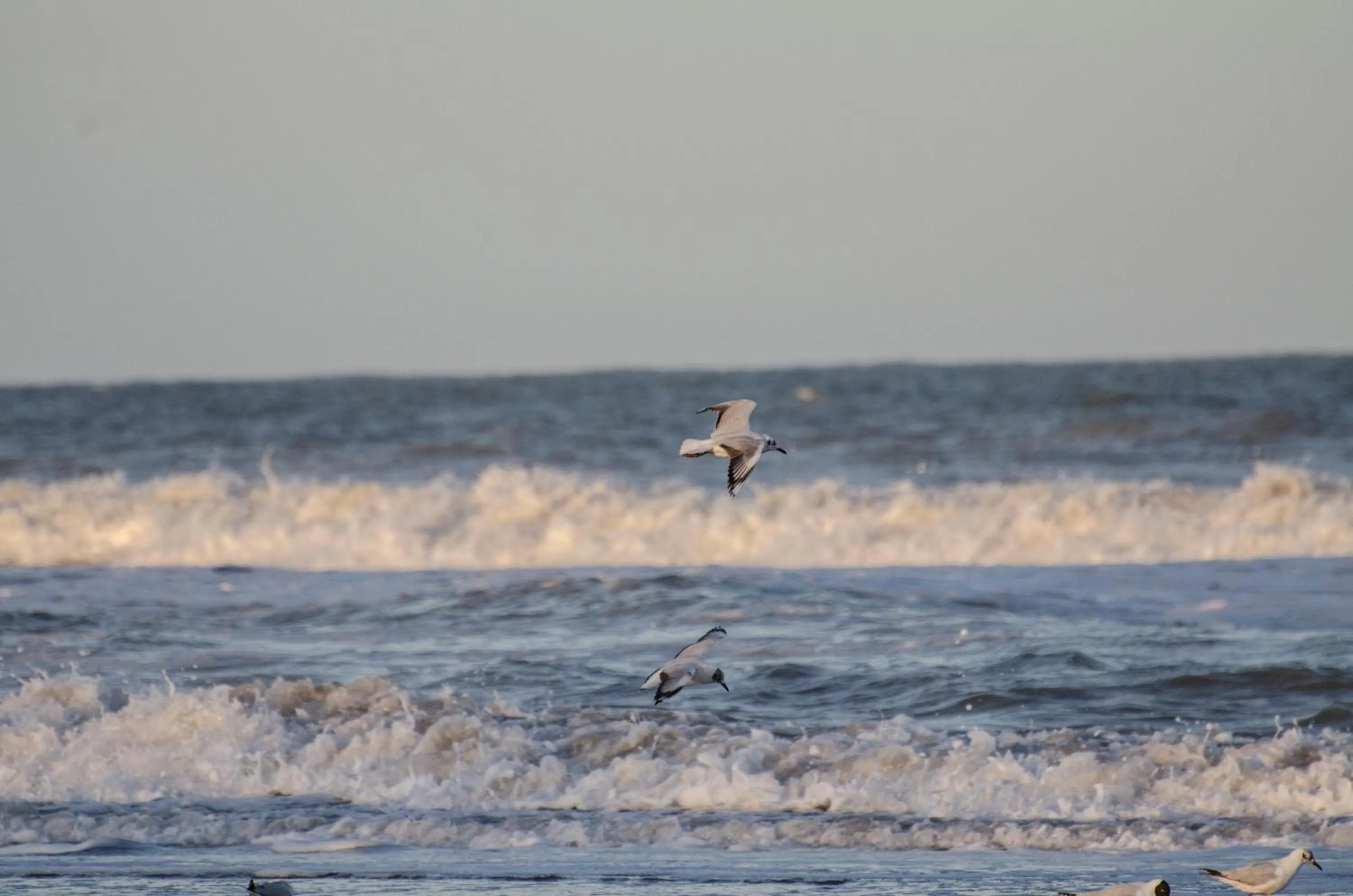 Nearby landmark in Almarena Apart & Hotel Boutique