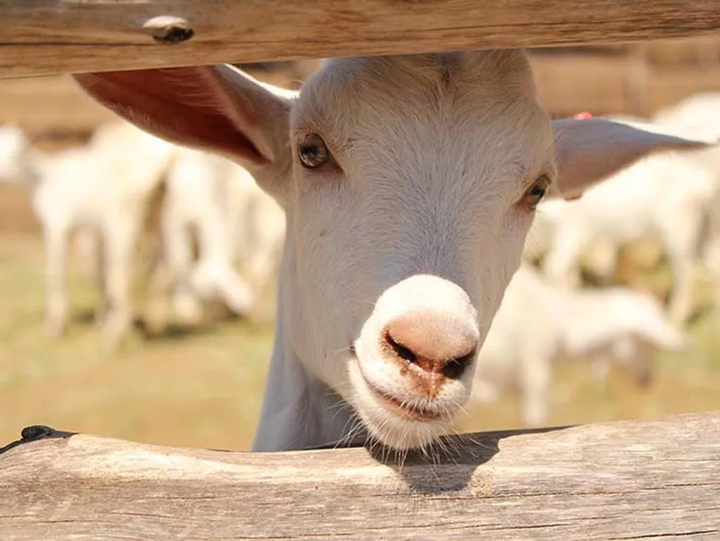 Posada Rural La Matilde