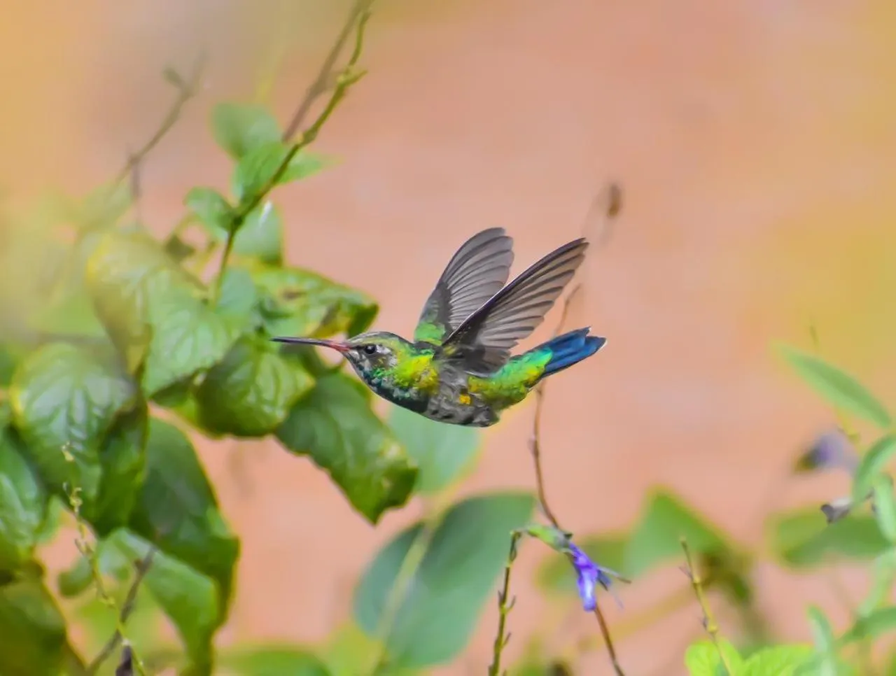 Posada Rural La Matilde