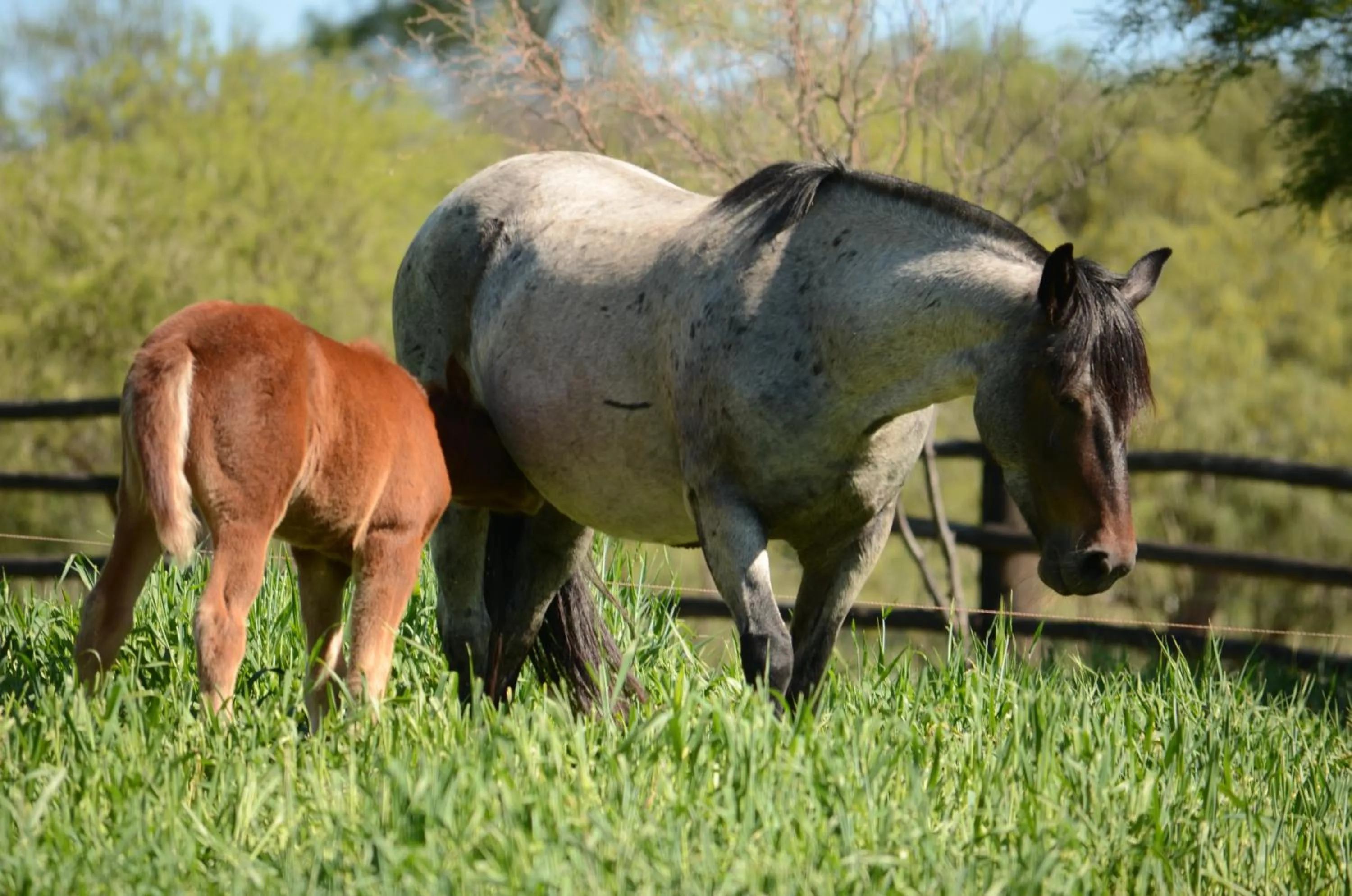 Posada Rural La Matilde