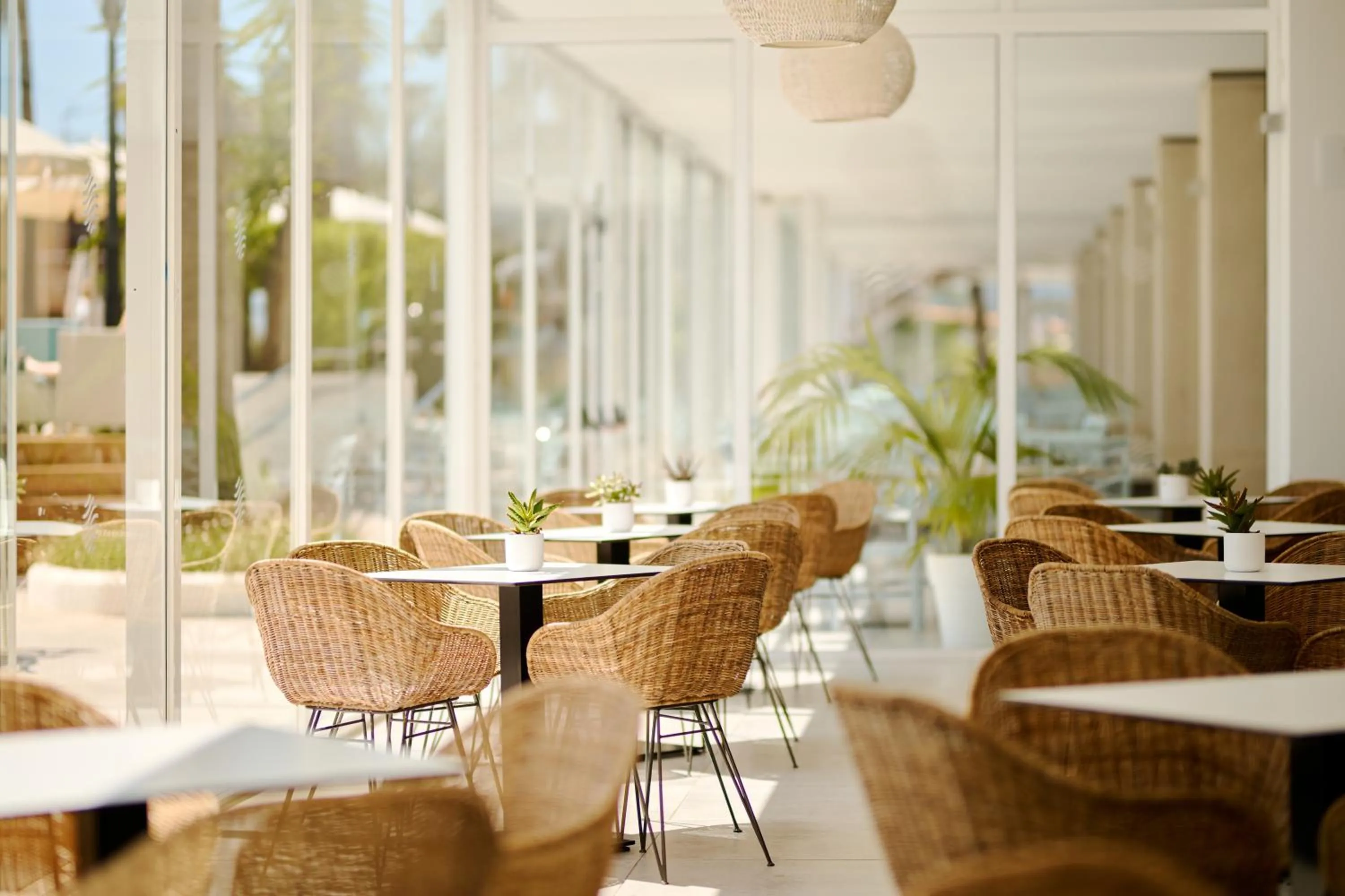 Restaurant/places to eat in Alua Boccaccio