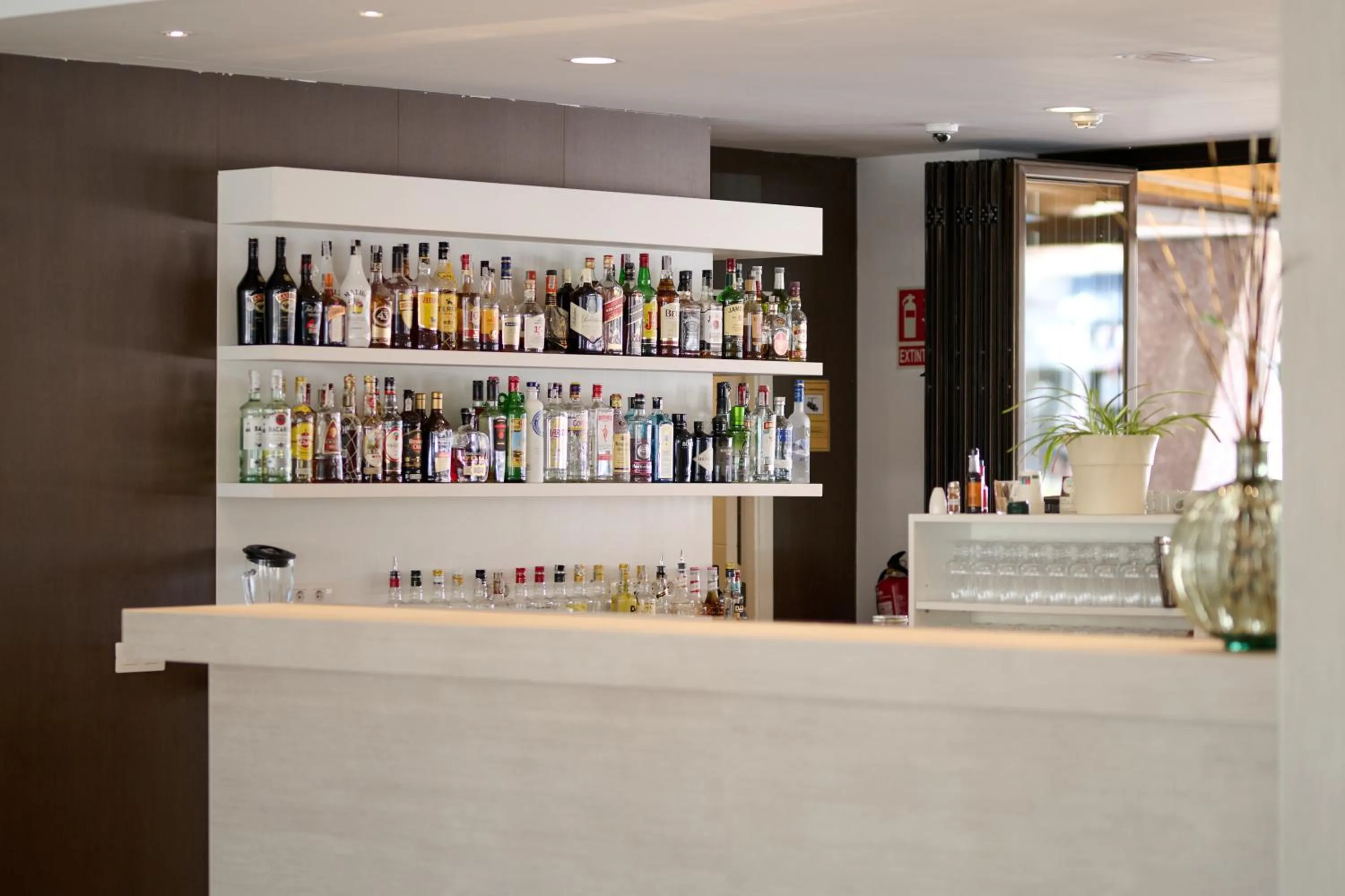 Lounge or bar in Alua Boccaccio