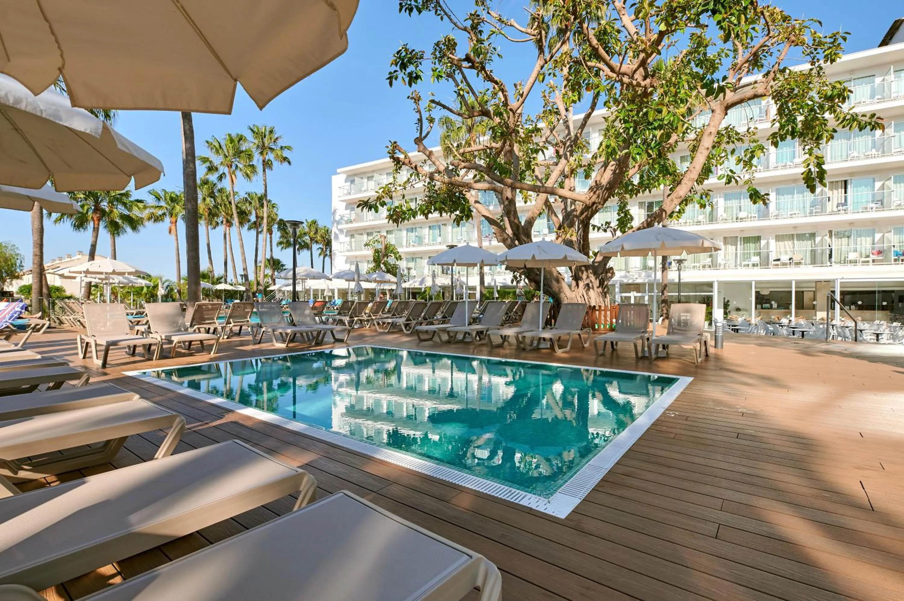 Swimming pool in Alua Boccaccio