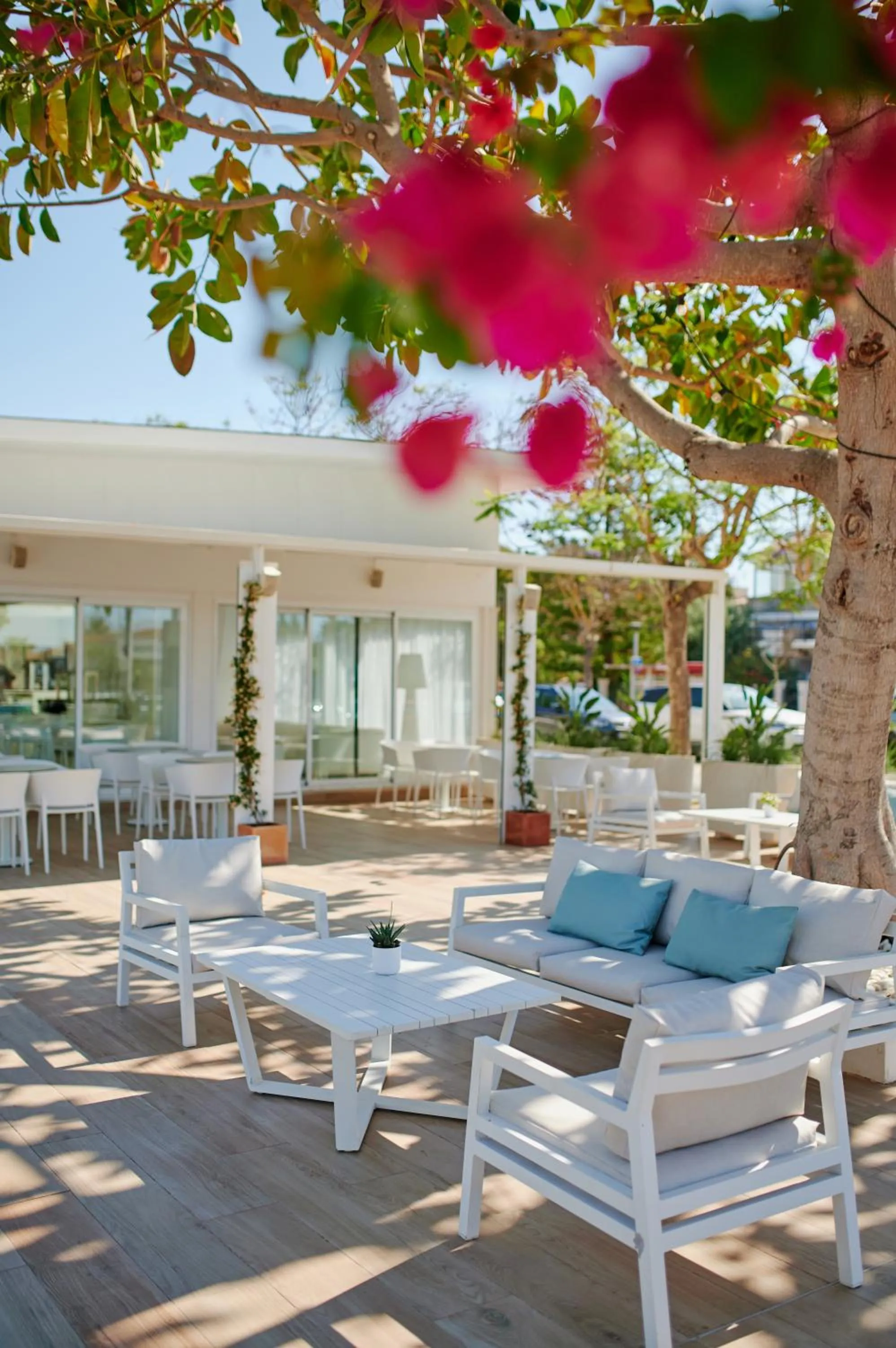 Property building in Alua Boccaccio