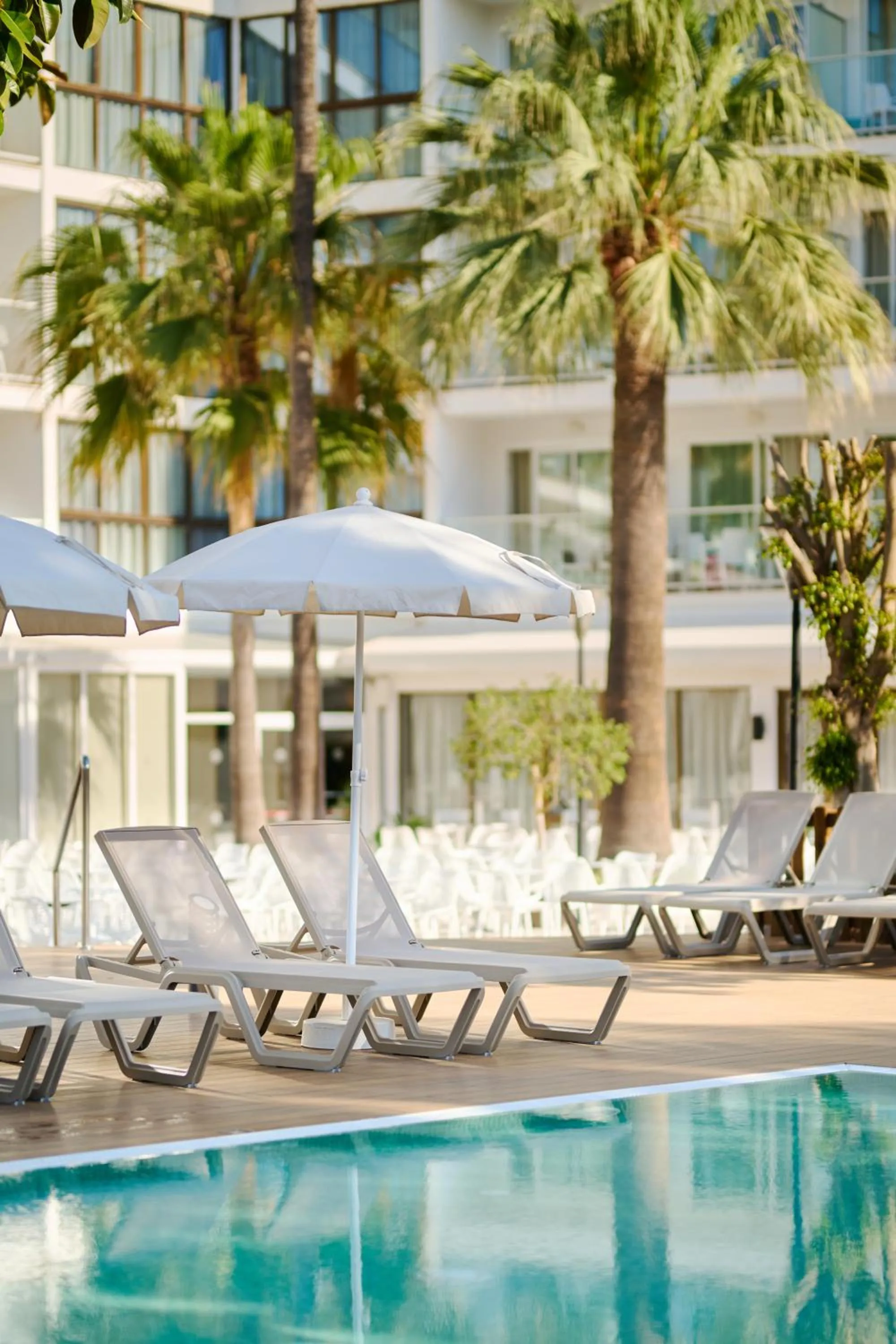 Swimming pool in Alua Boccaccio