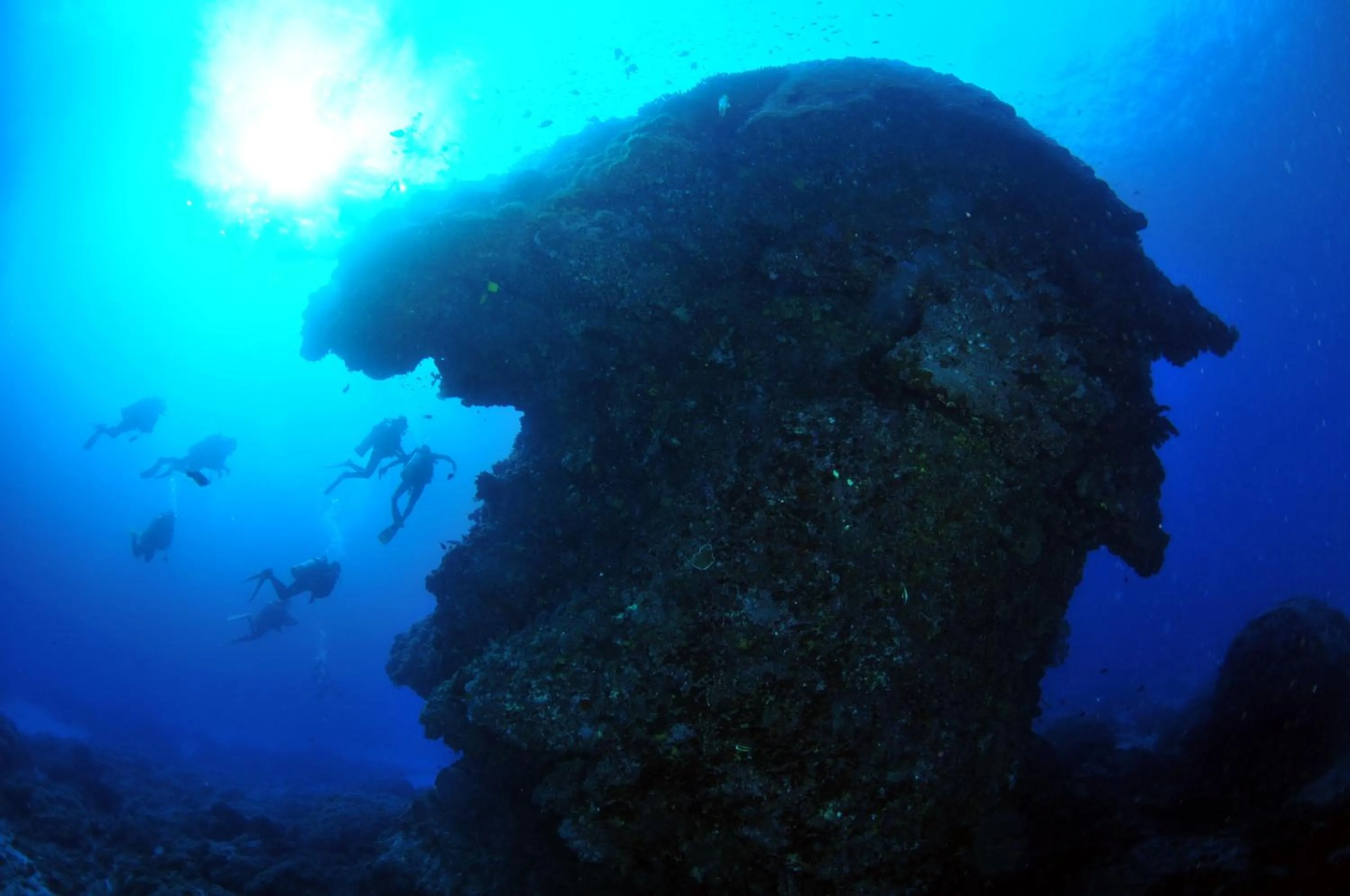 Diving in Green Island Ocean Rhythem dive B&B 綠島海韻民宿