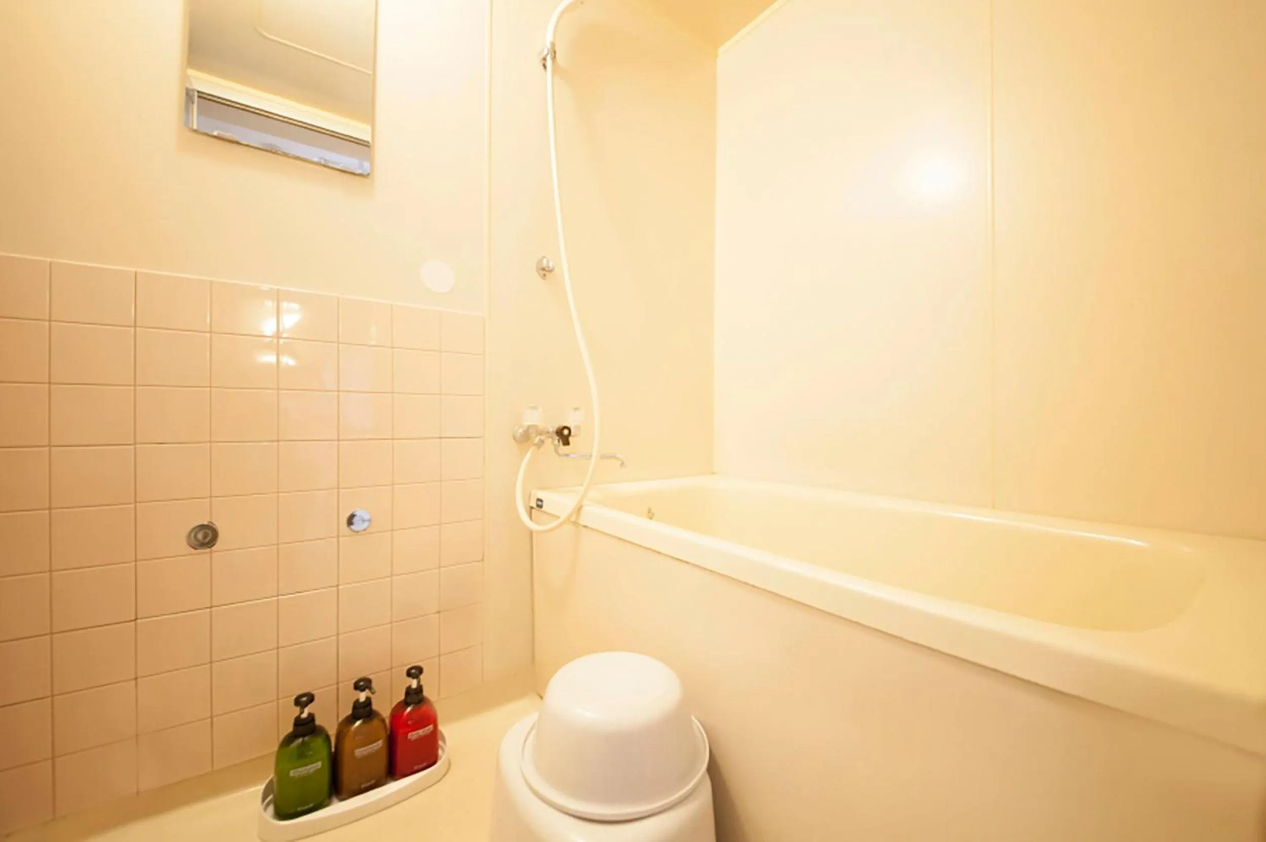 Bathroom in Shinjuku Urban Hotel