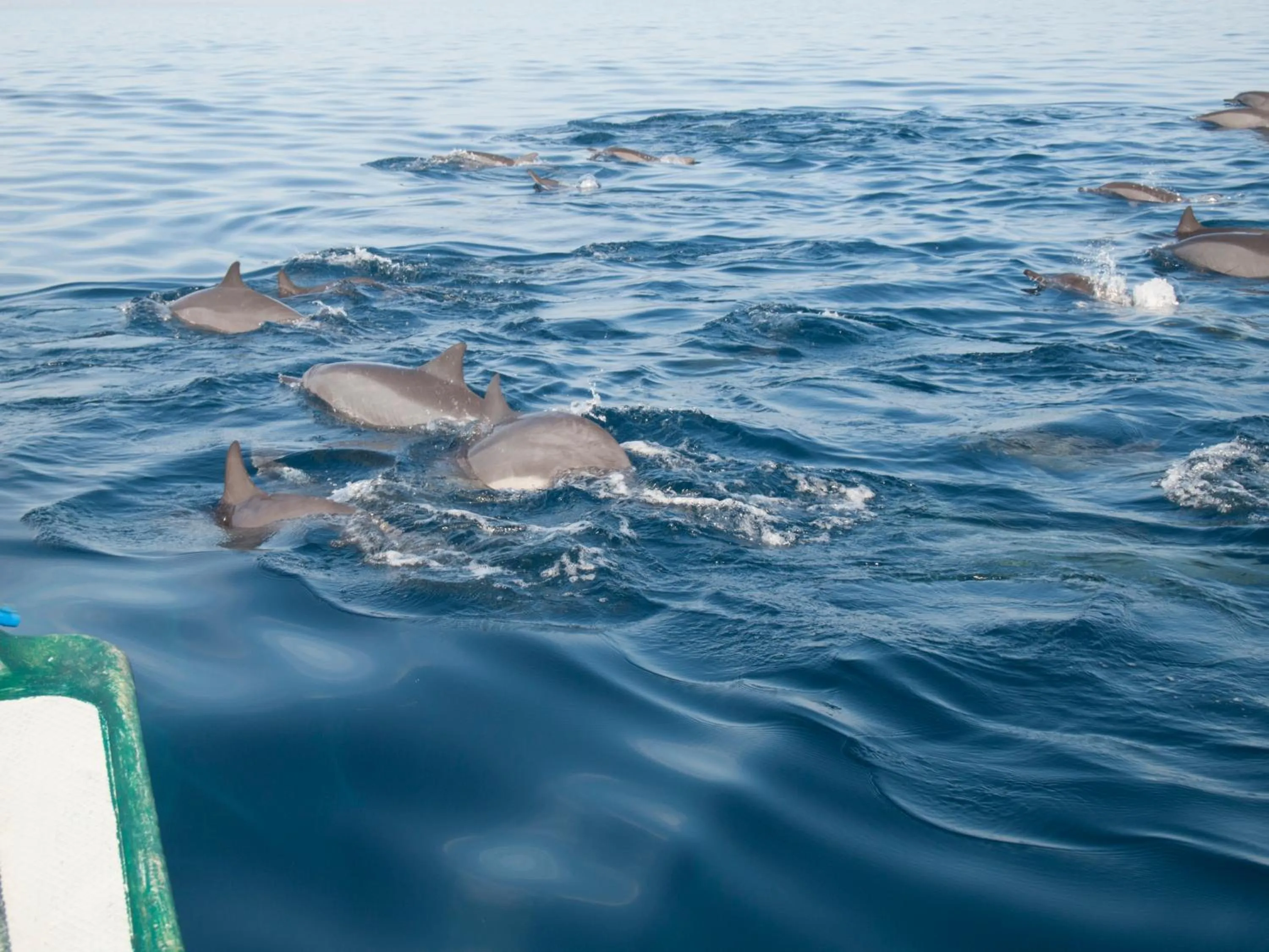 Activities in Funky Place