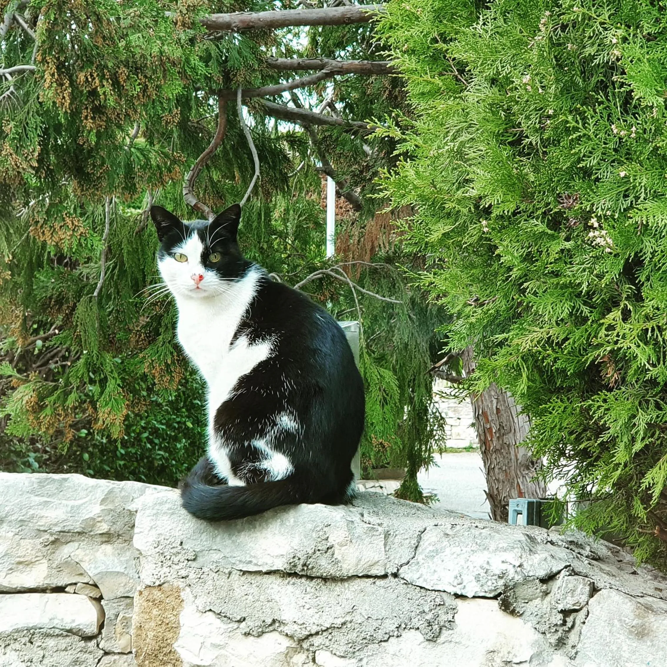 Winter in Apulia Time