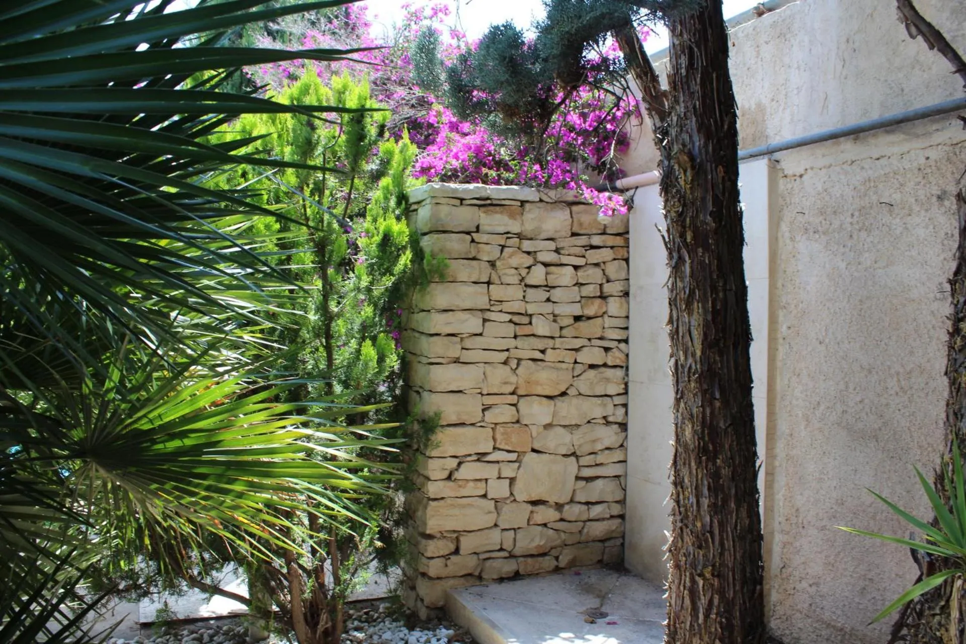 Garden in Apulia Time