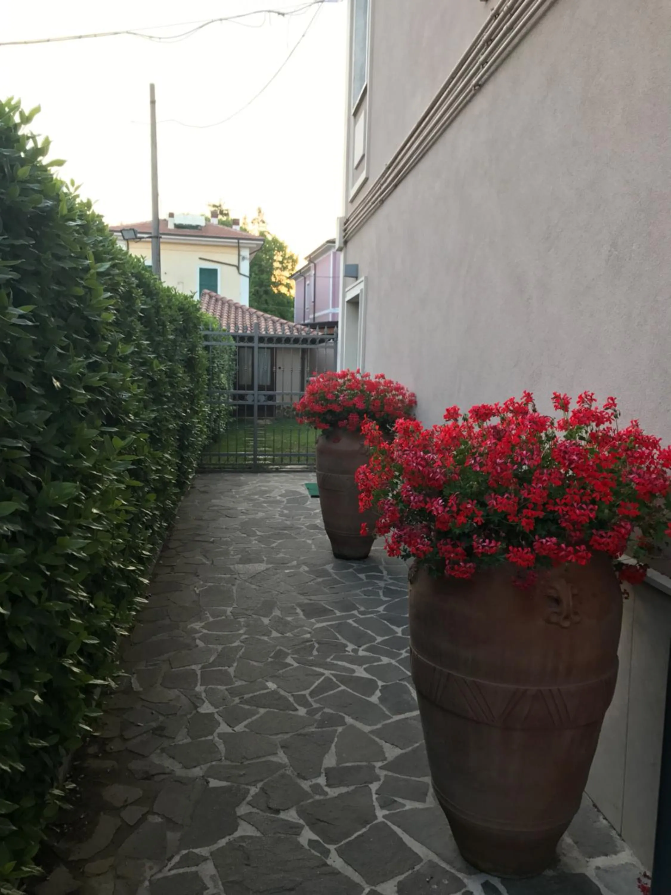 Garden view in Casina Dei Marsi