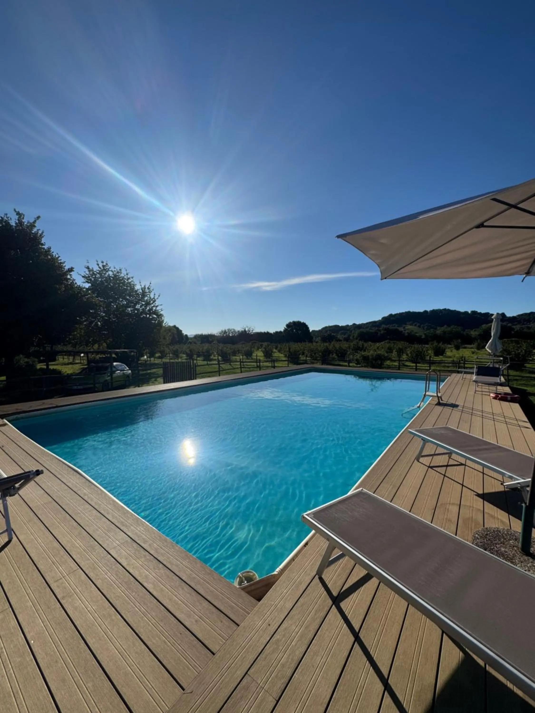 Swimming pool in Agriturismo Olmo Bello