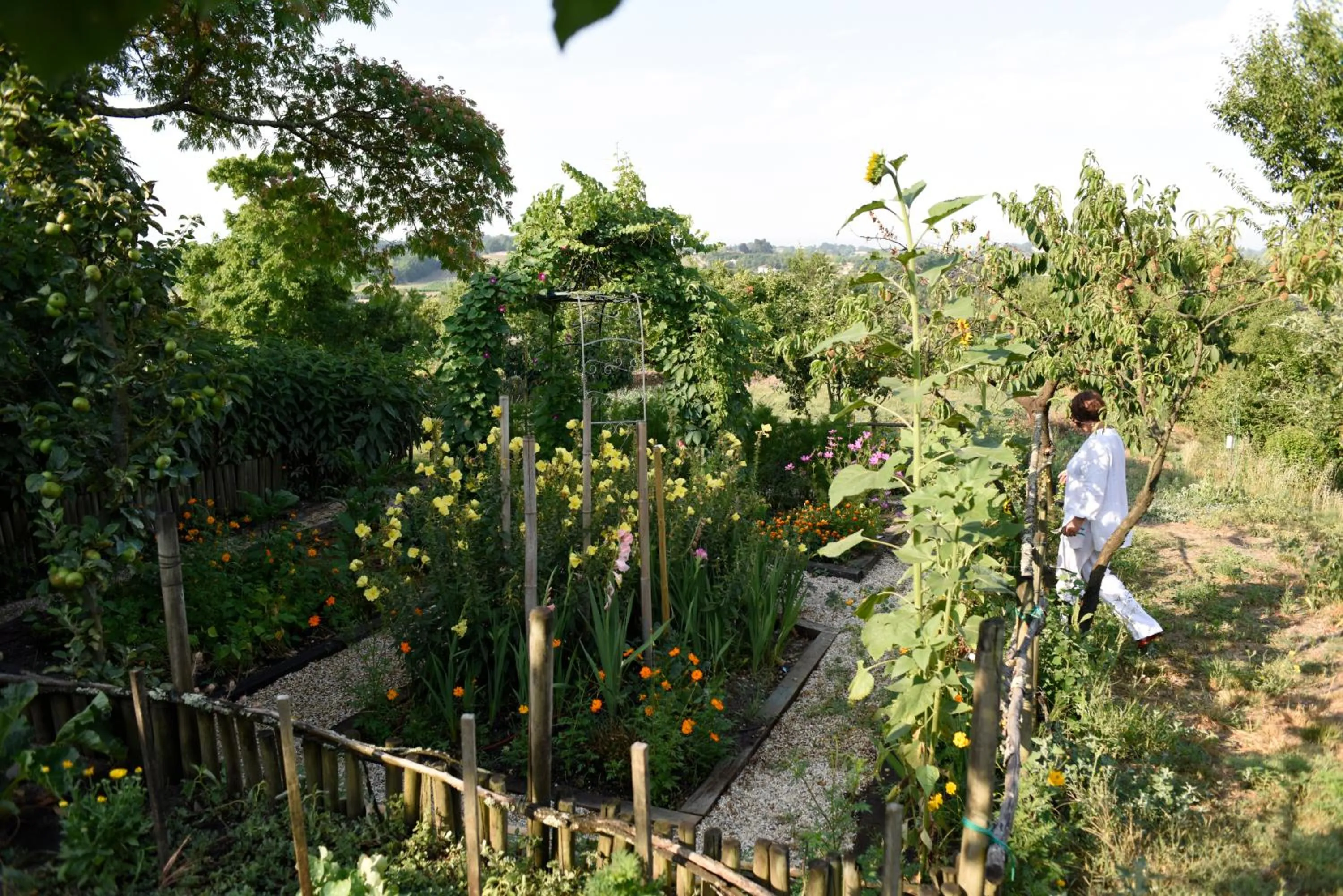 Garden in Château Du Tasta
