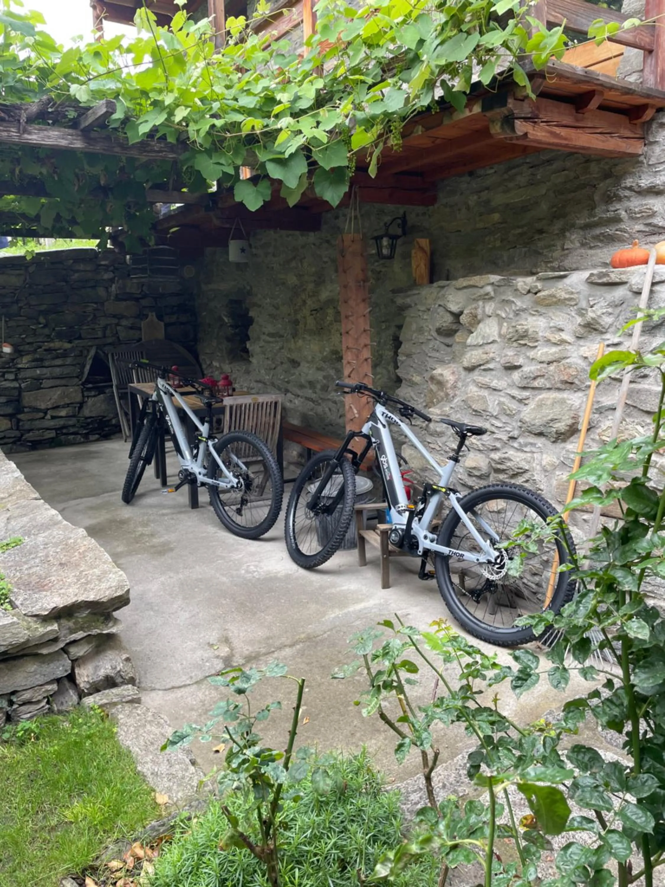 Cycling in Maison de Noé