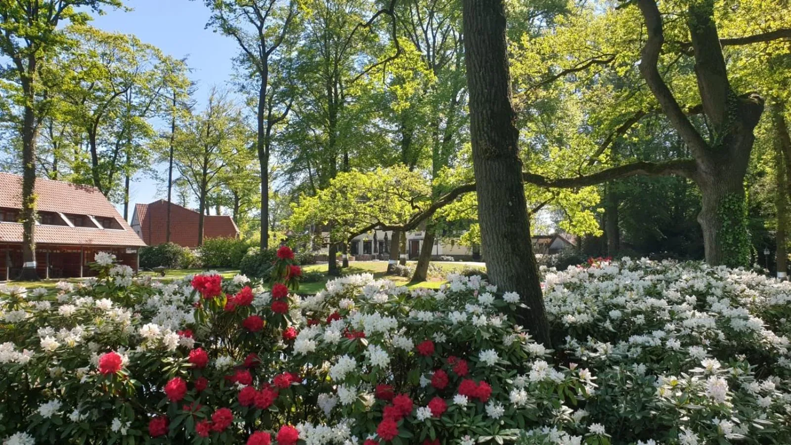 Huize Hölterhof Wellness Hotel Restaurant