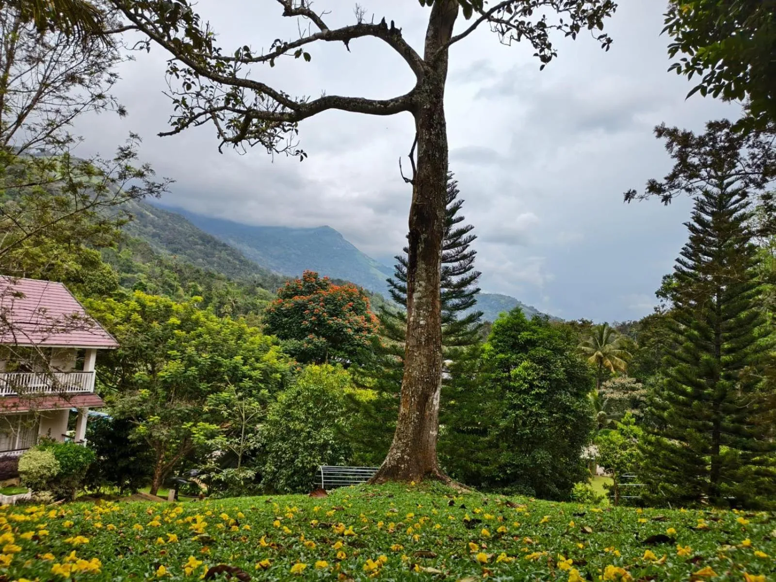 Broad Bean Resort & Spa