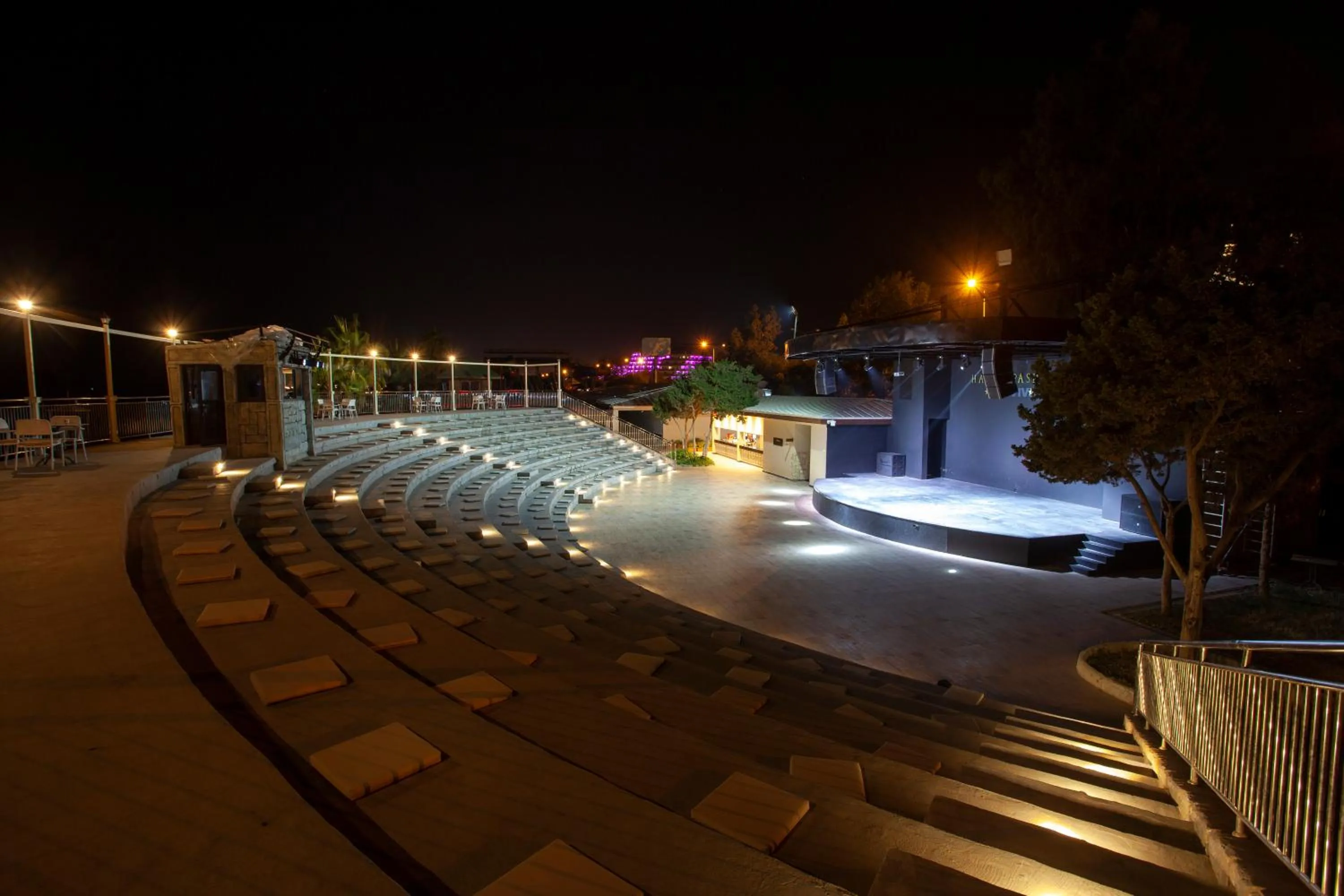 Entertainment in Haydarpasha Palace Hotel