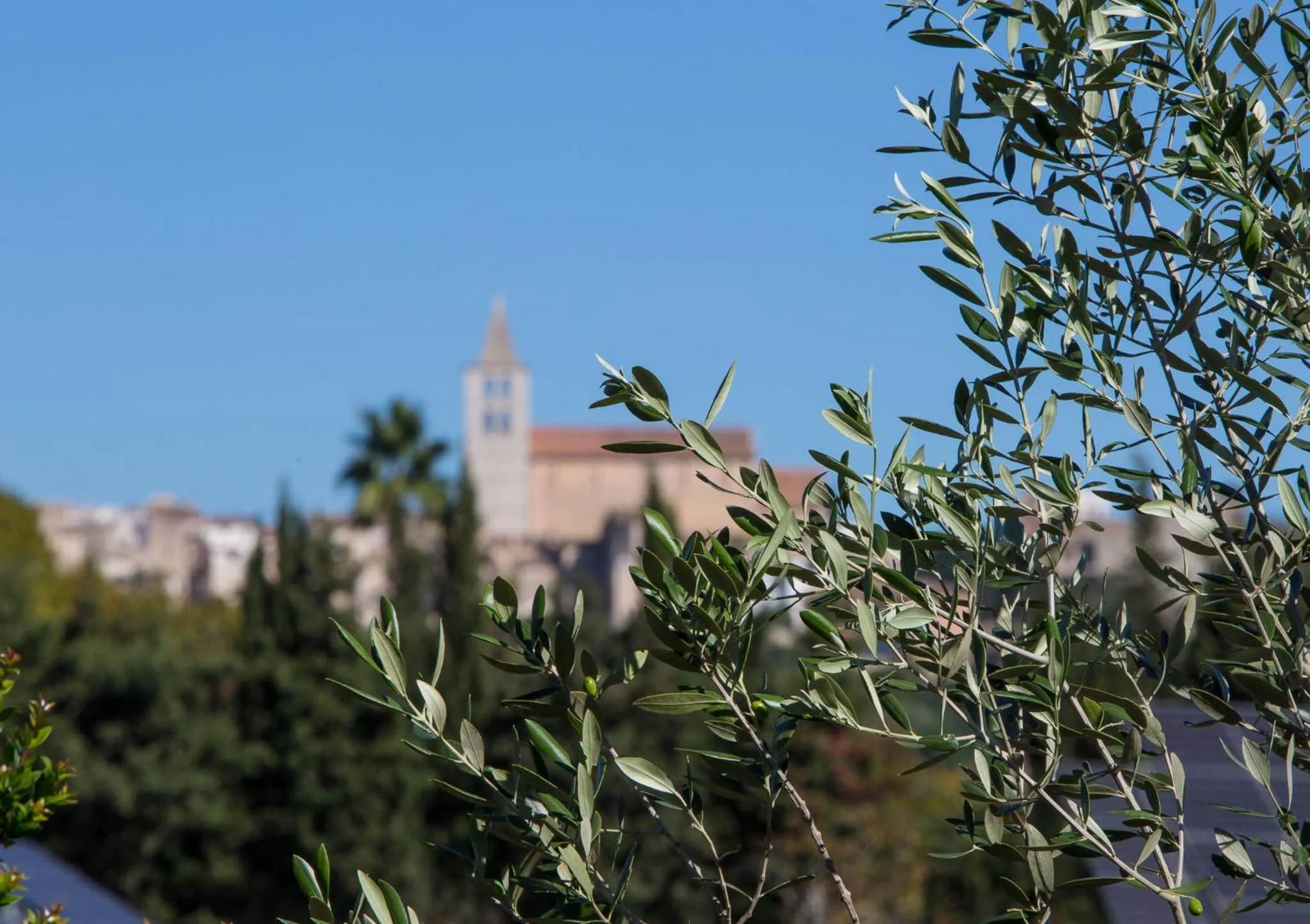 Day in Son Colom -Turismo de interior