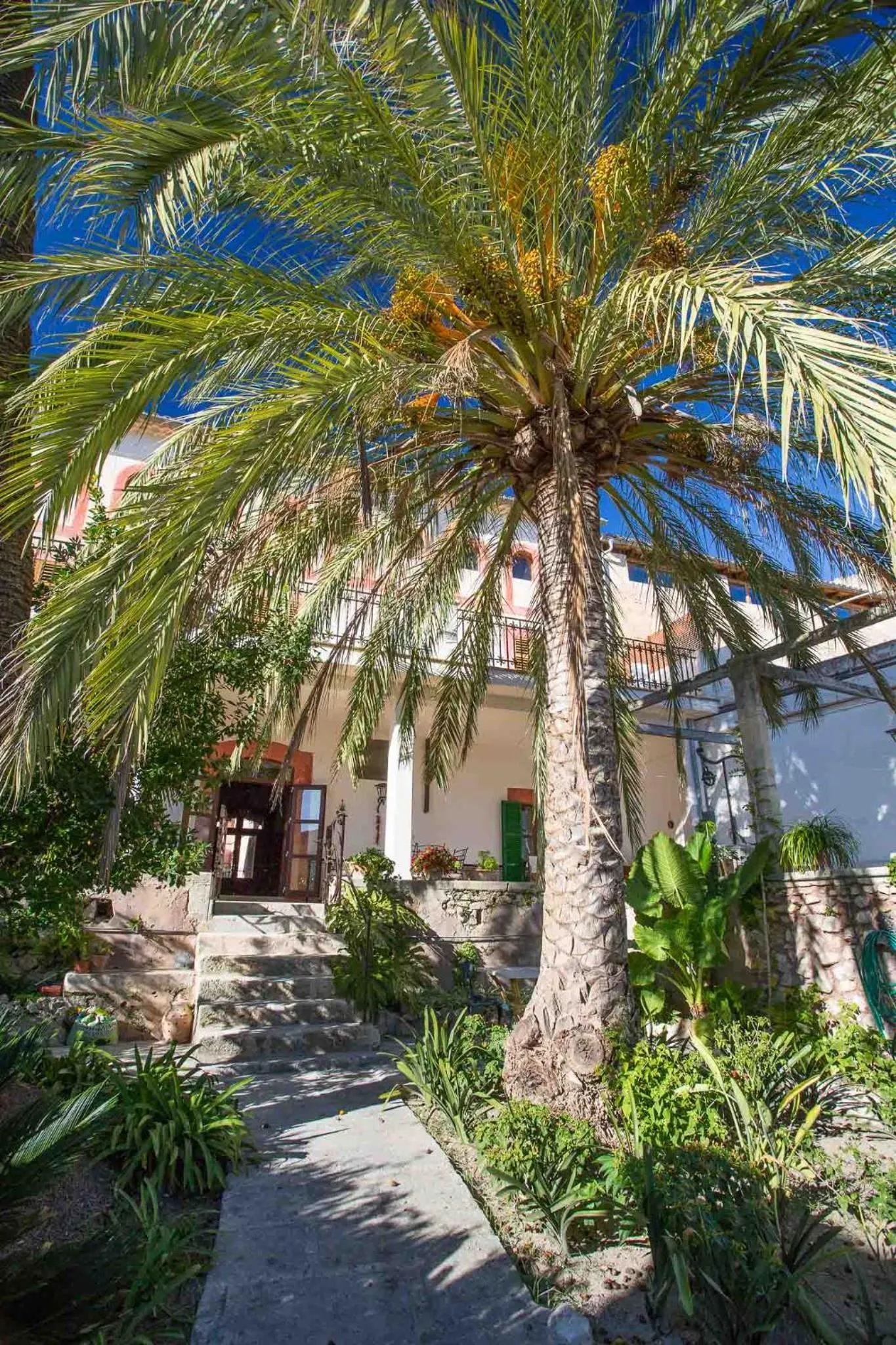 Day in Son Colom -Turismo de interior