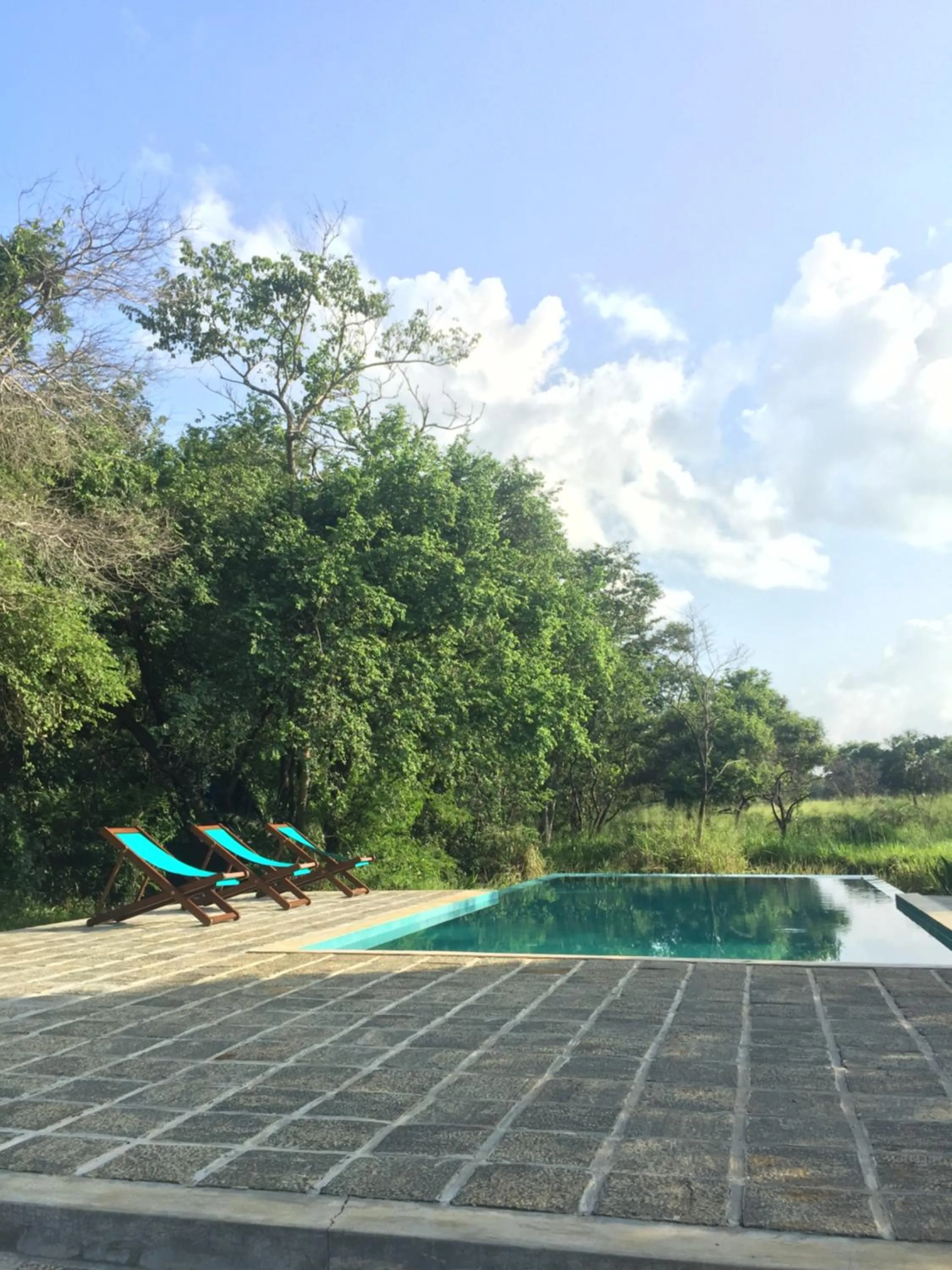 Garden in Kumbukgaha Villa