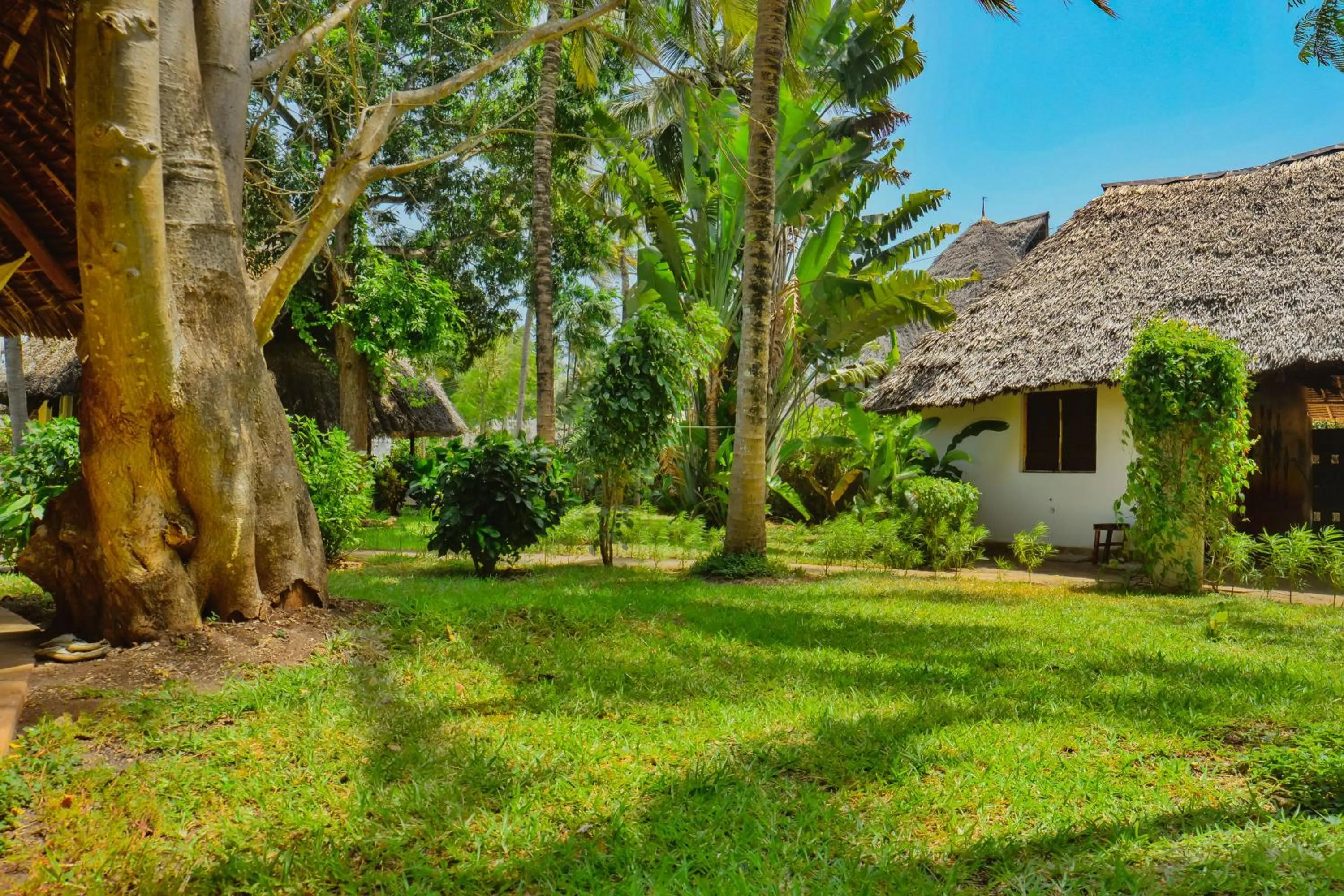 Garden view in Upani in Diani