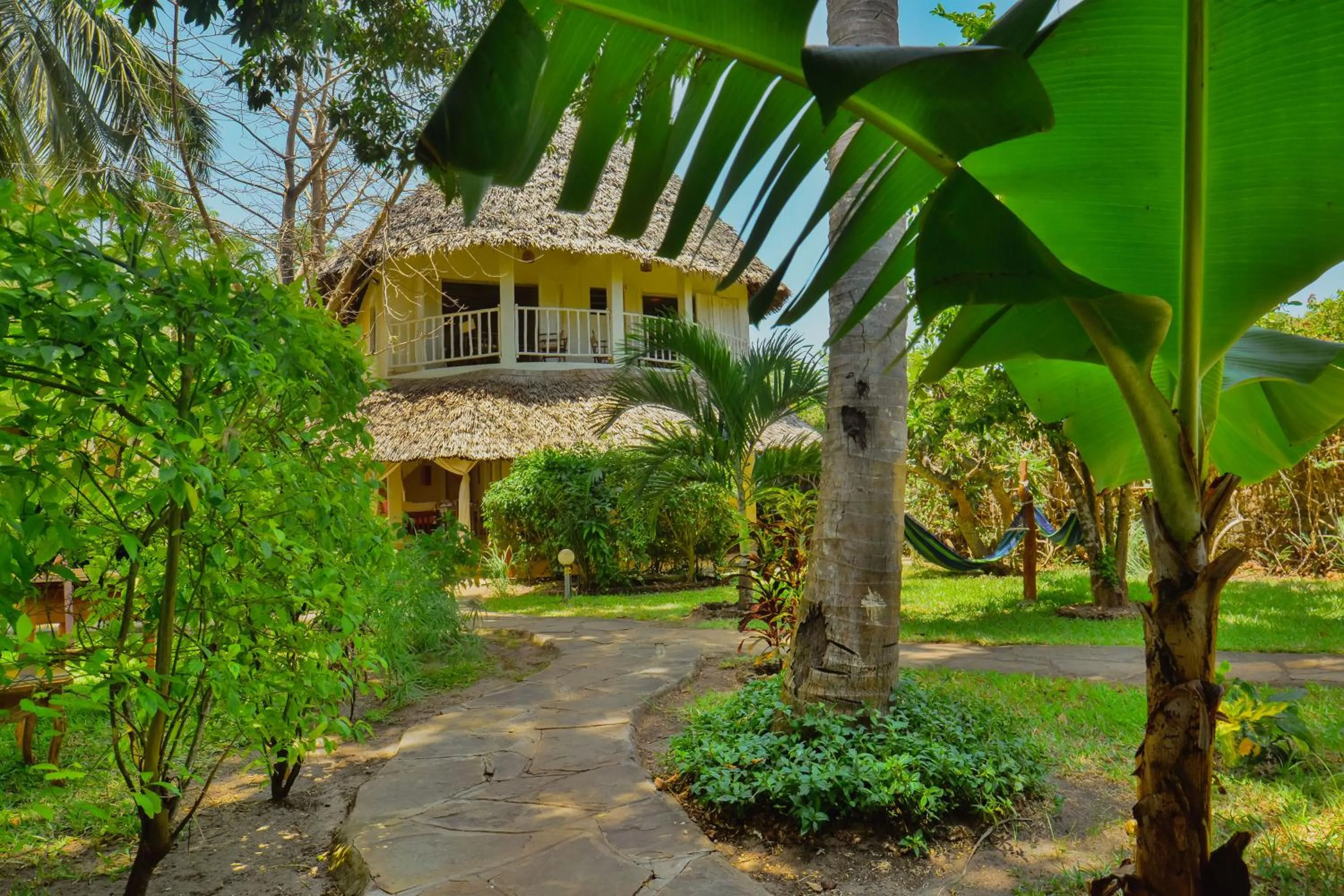 Photo of the whole room in Upani in Diani