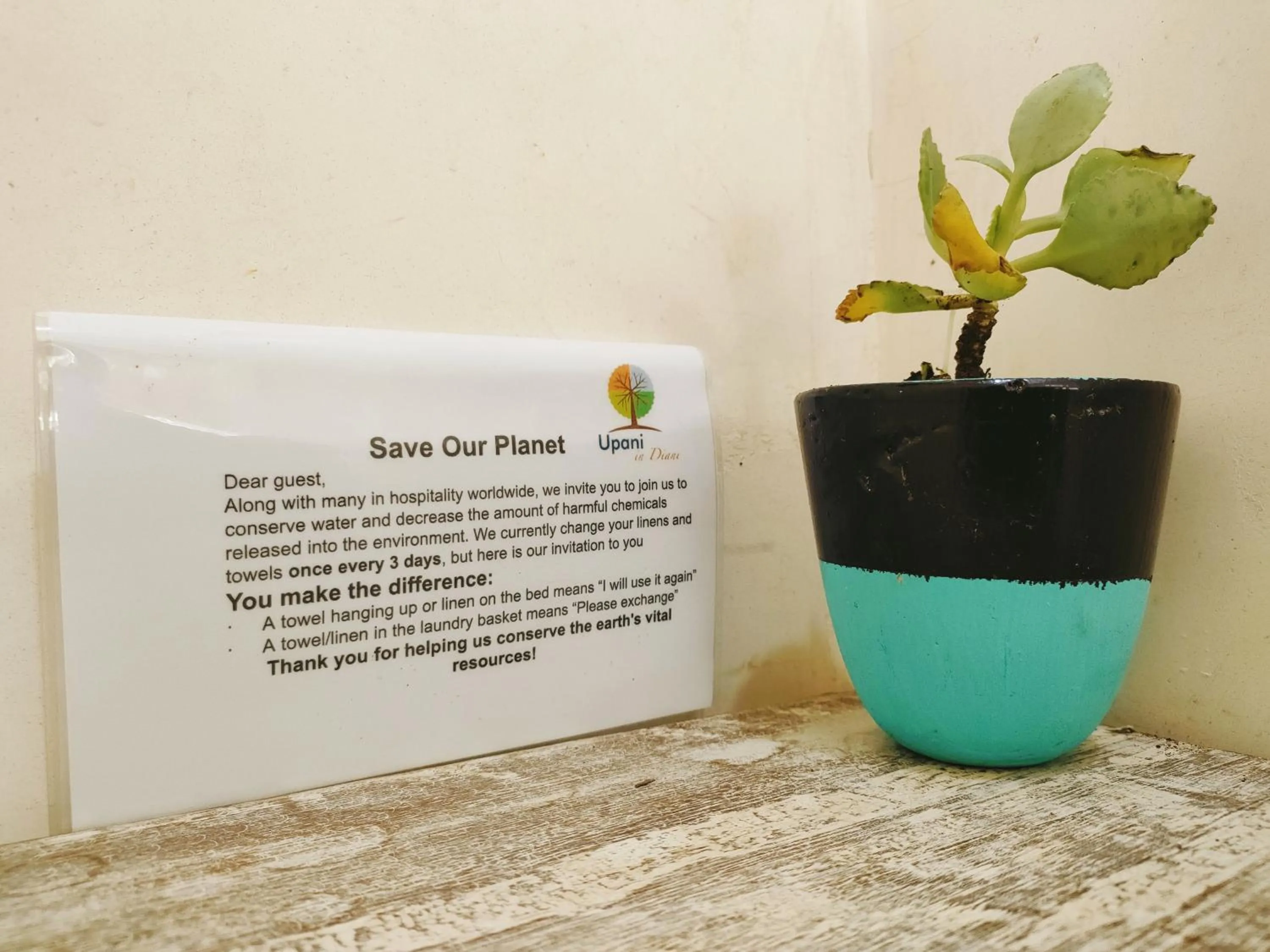 Logo/Certificate/Sign in Upani in Diani