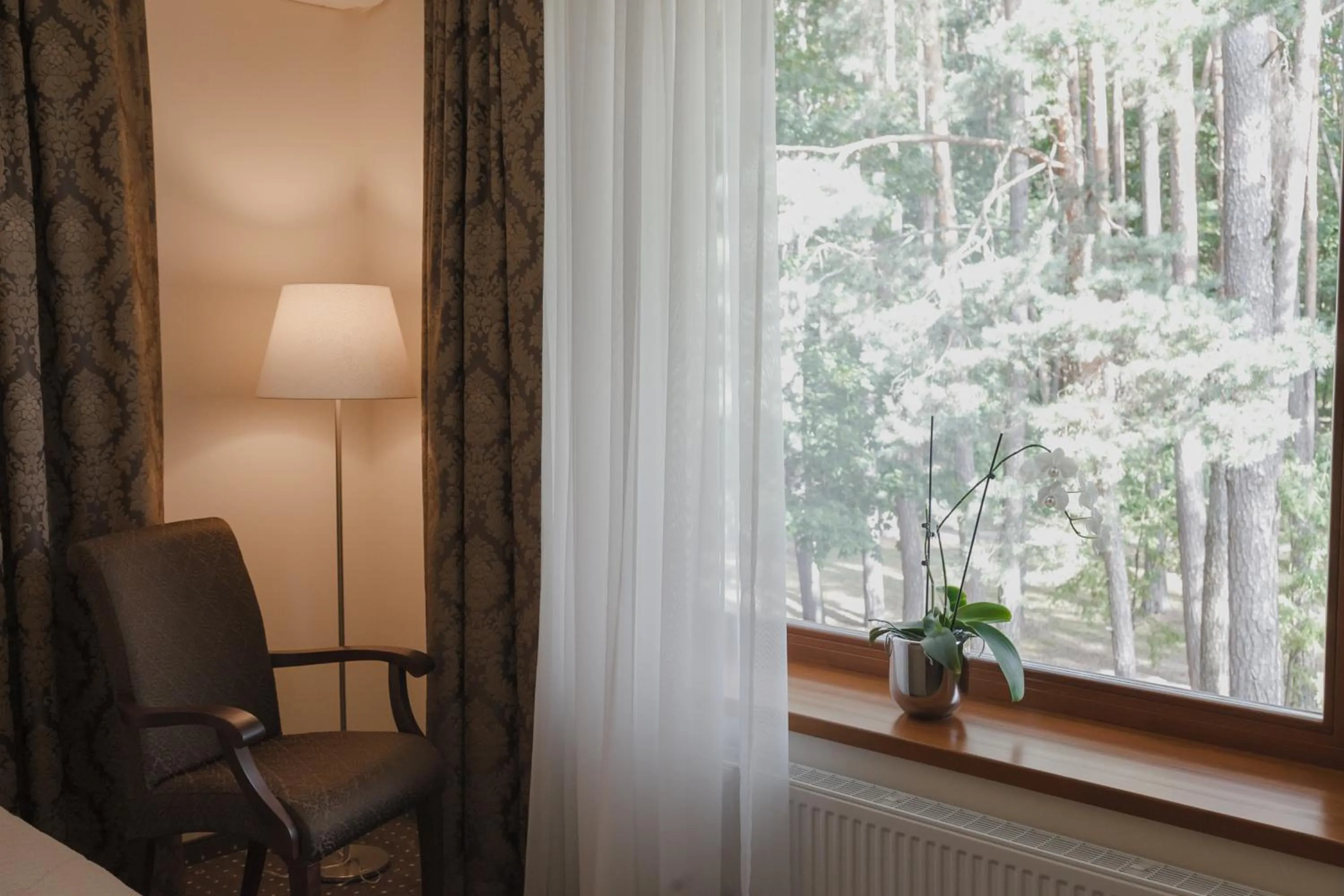 Natural landscape in Pušynė