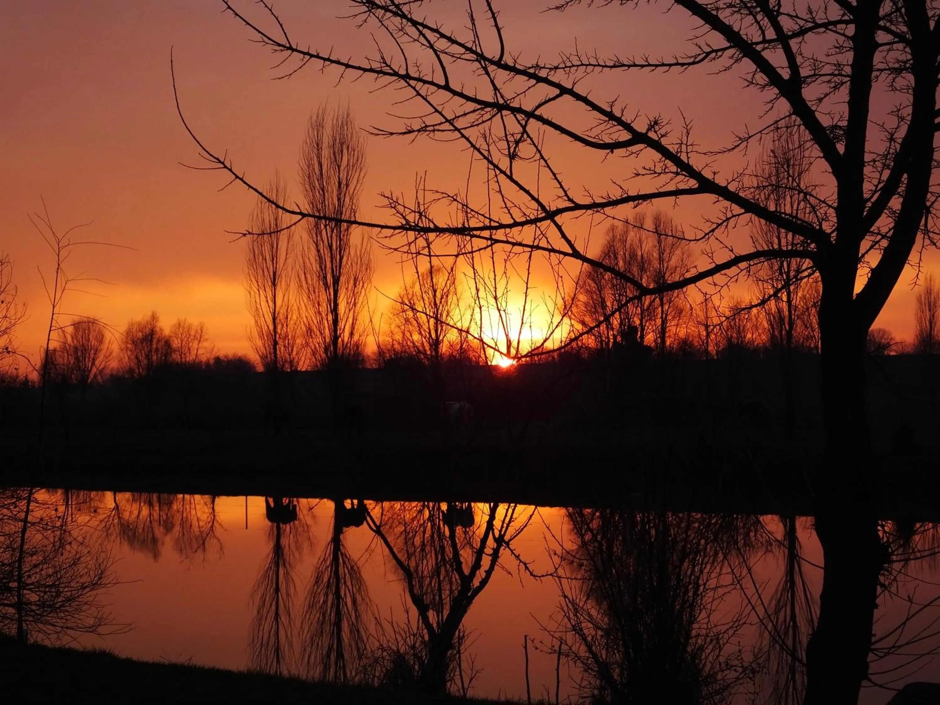 Natural landscape in Agriturismo Adriano Pedretti