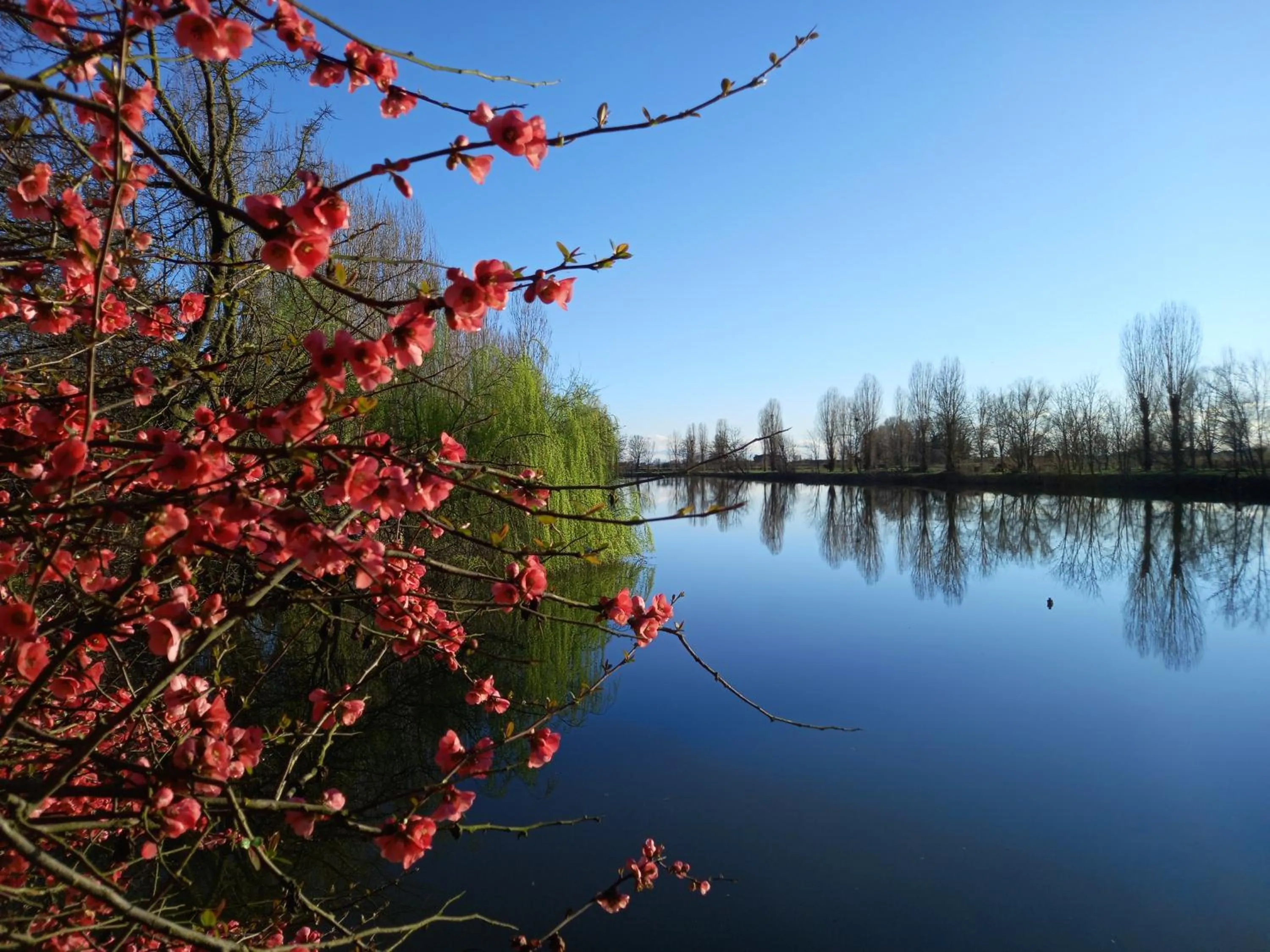 Spring in Agriturismo Adriano Pedretti