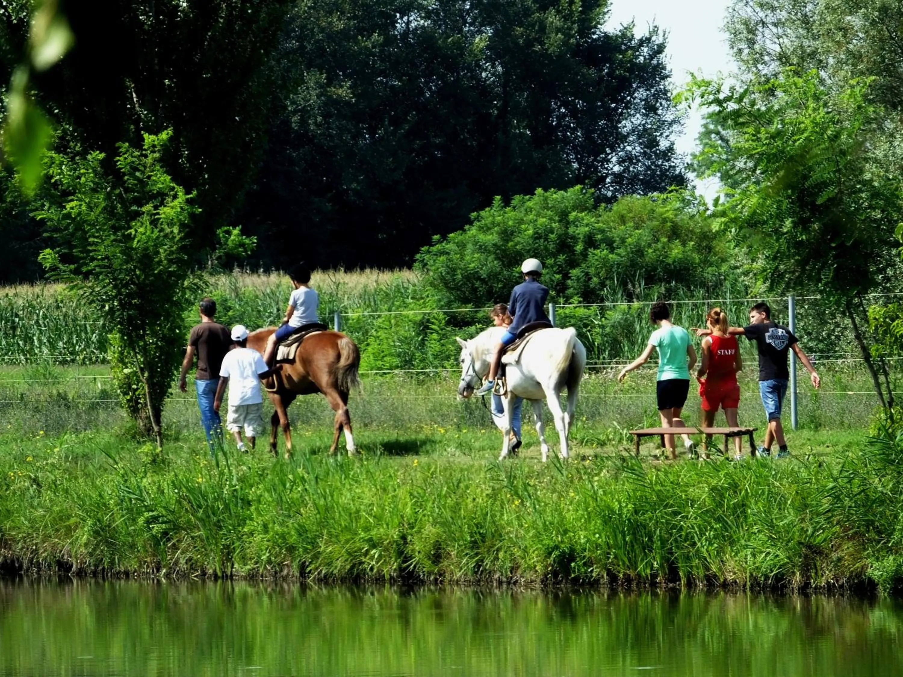 Horse-riding in Agriturismo Adriano Pedretti