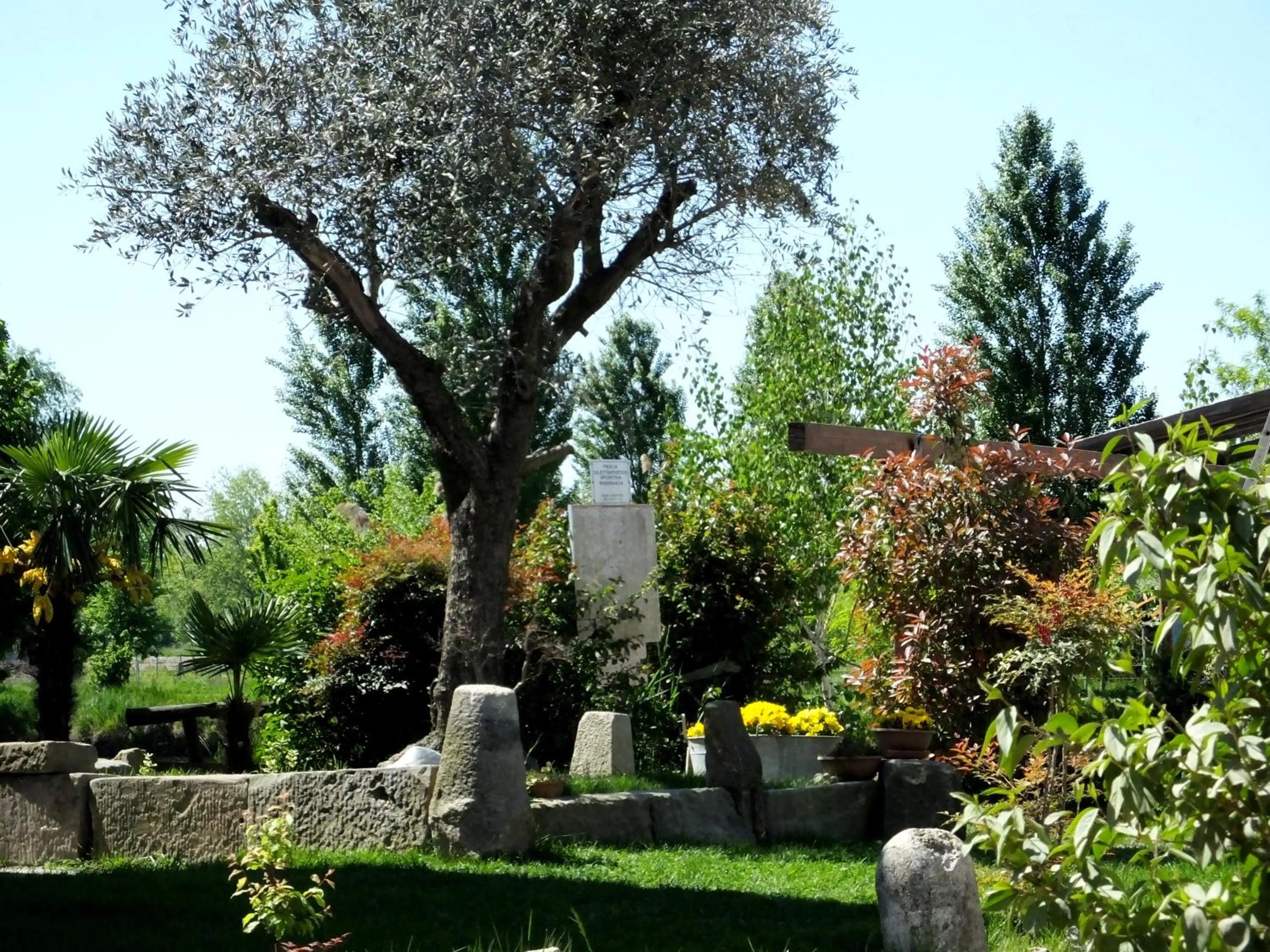 Garden in Agriturismo Adriano Pedretti