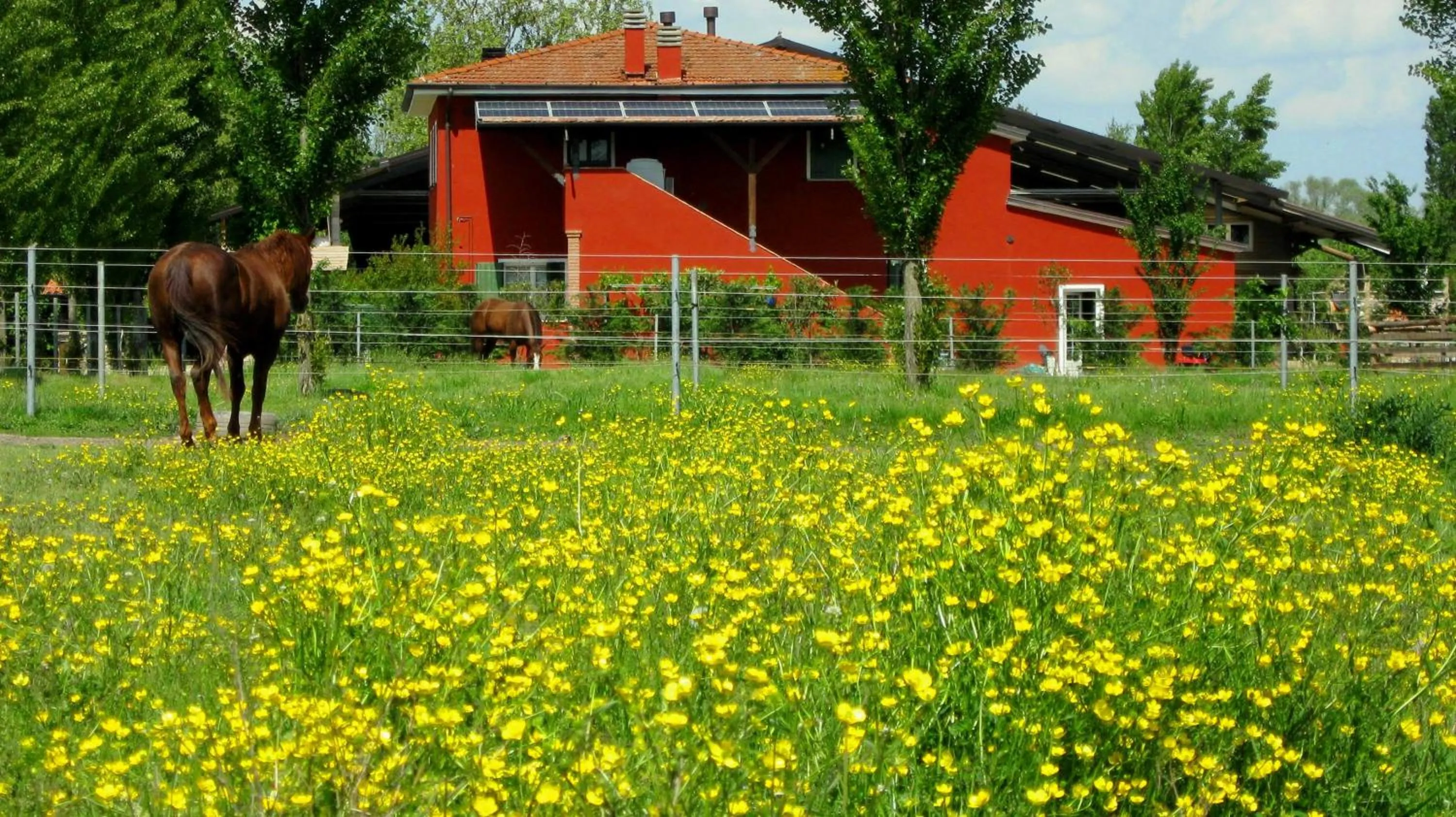 Facade/entrance in Agriturismo Adriano Pedretti