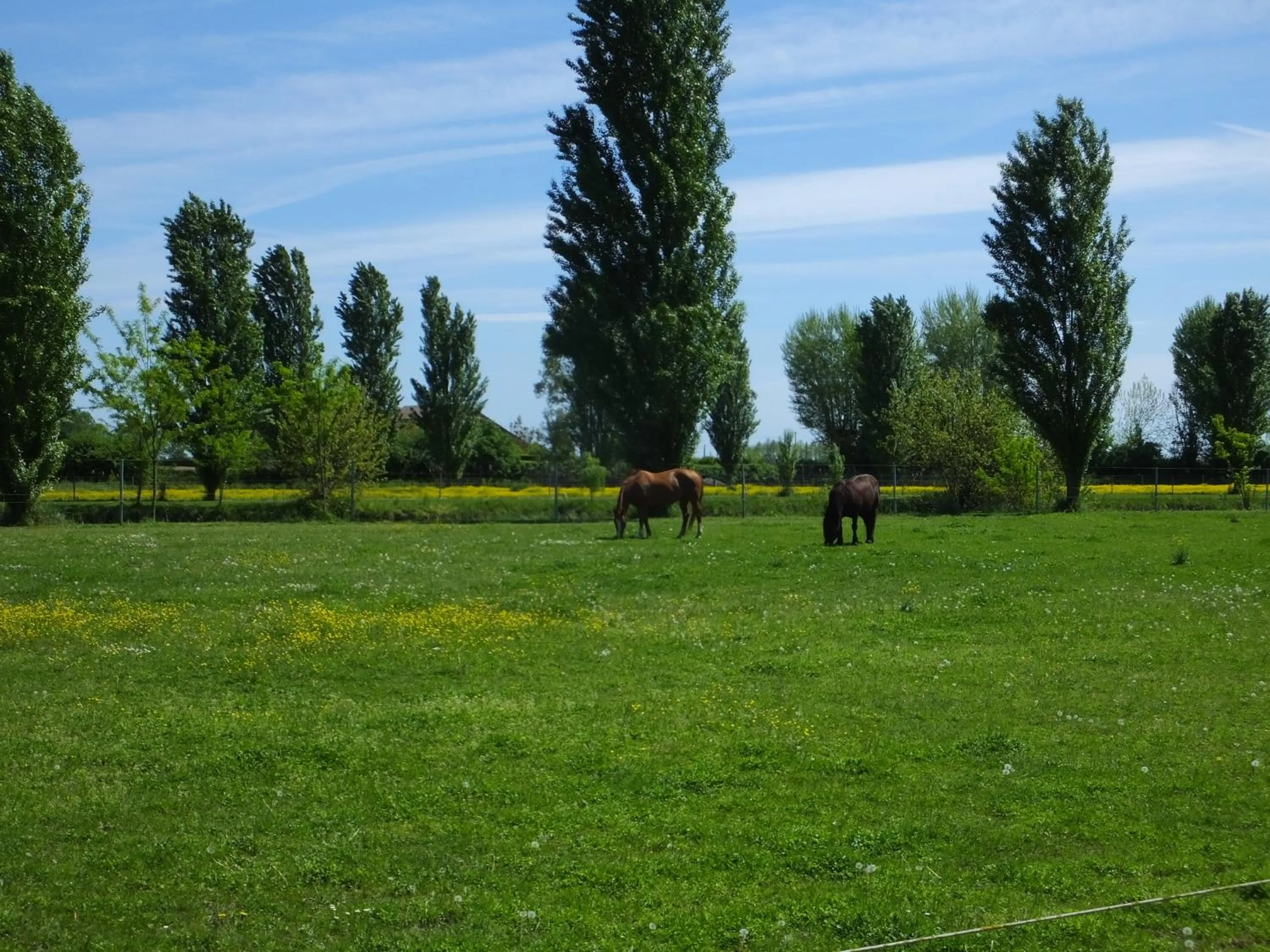 Spring in Agriturismo Adriano Pedretti