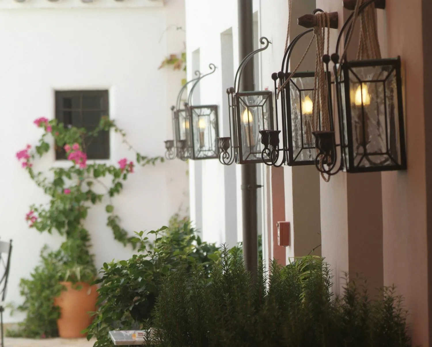 Garden view in La Casona de Calderón Gastronomic & Boutique Hotel