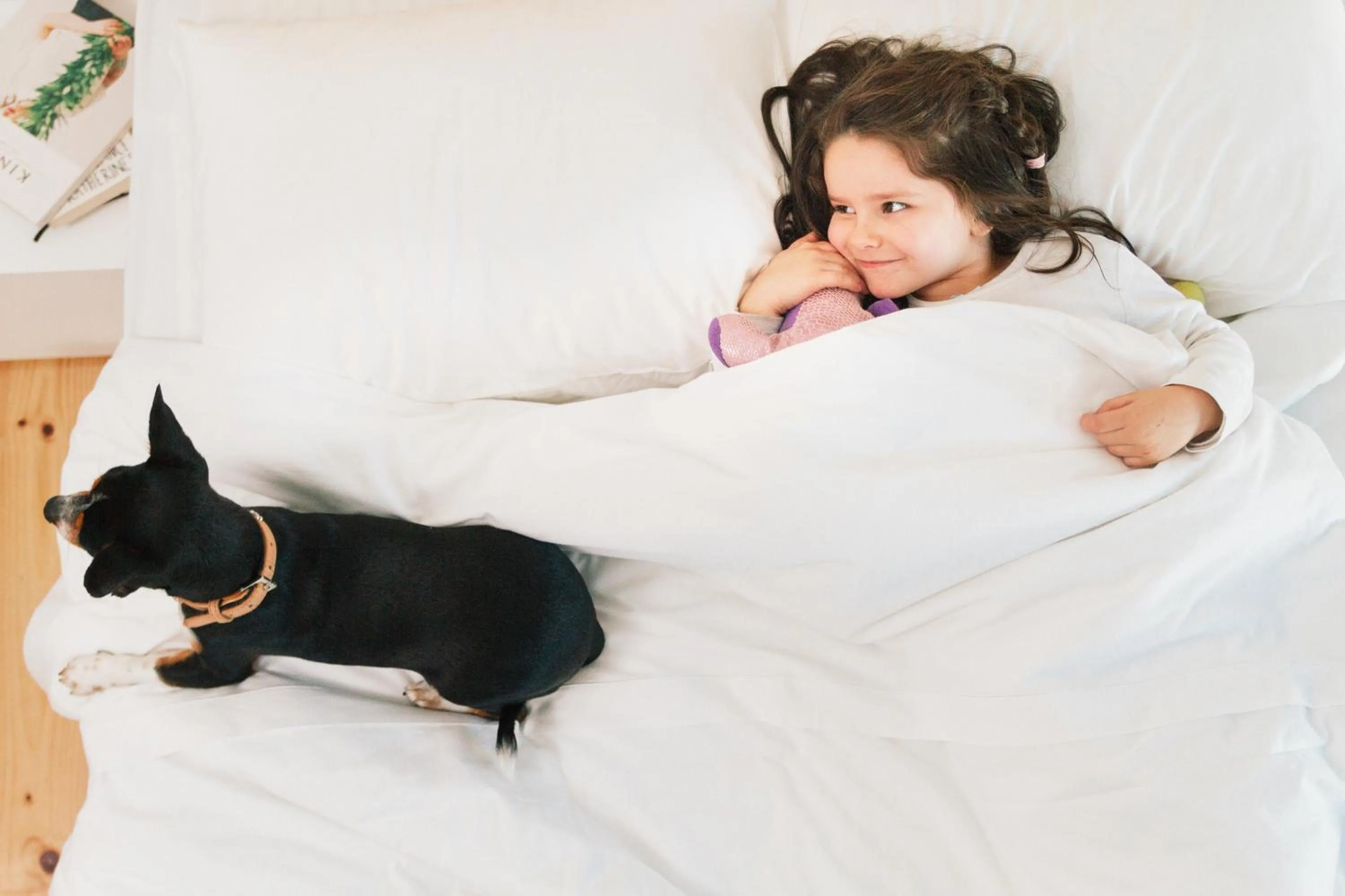 Bed in Oh! Porto Apartments