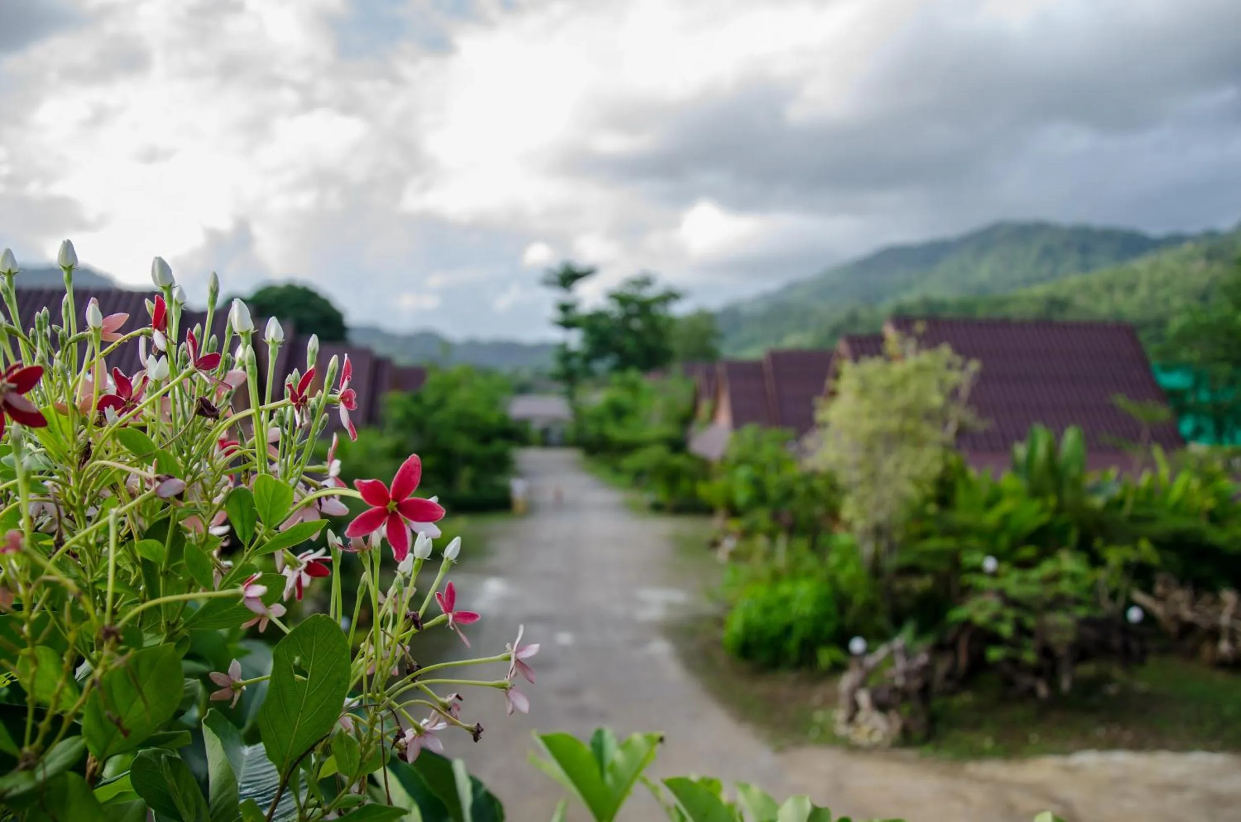 Garden view in Daranee Resort