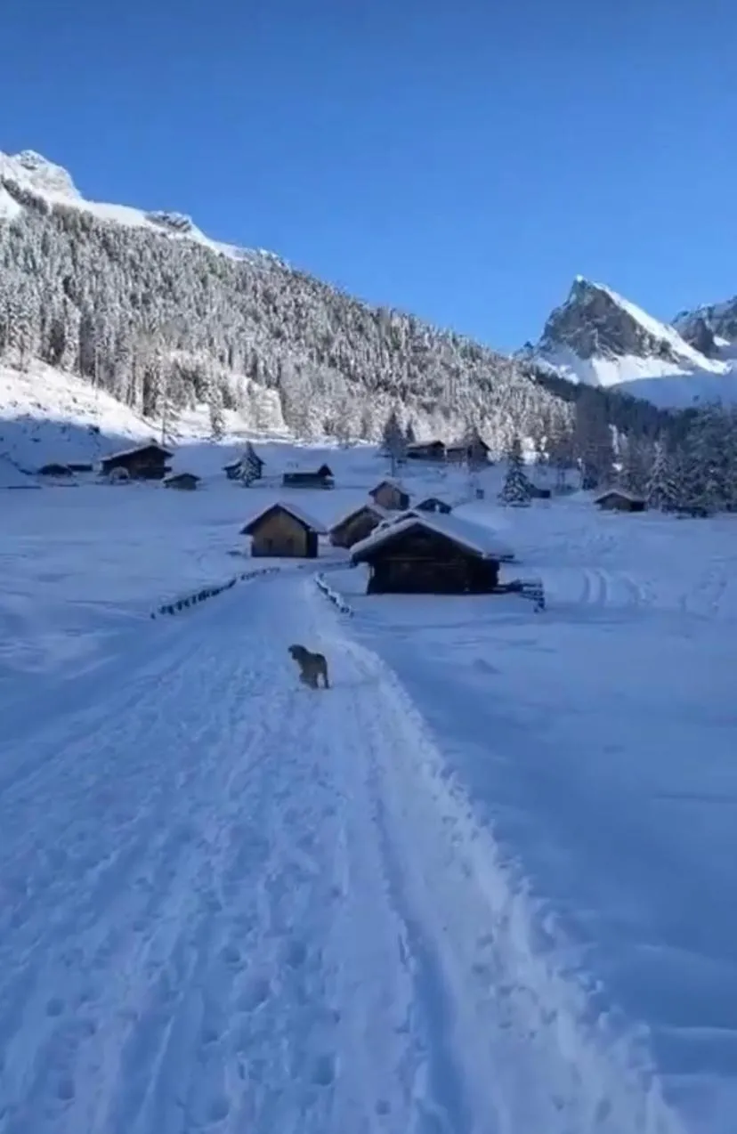Mountain view in Almida