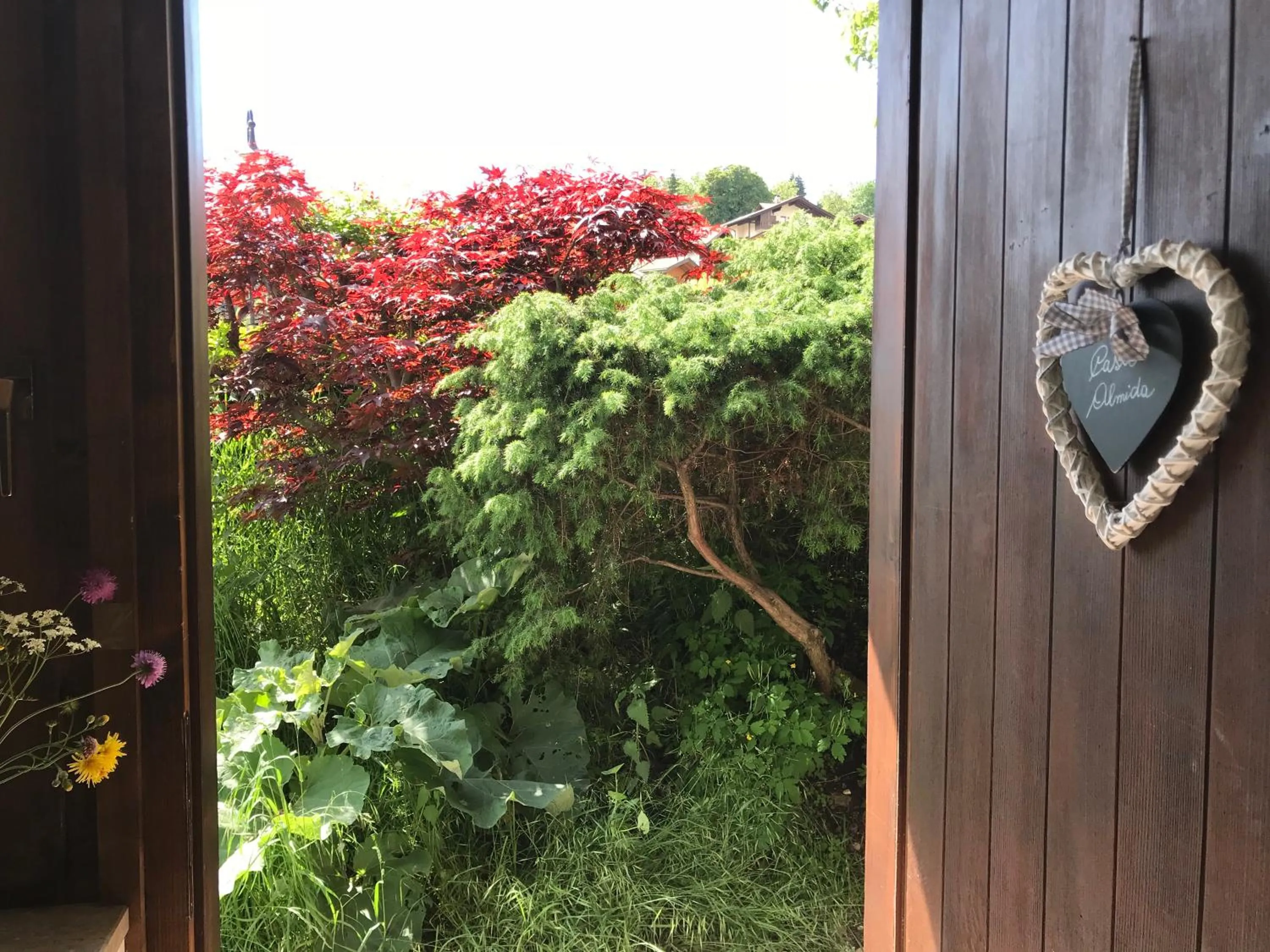 Garden view in Almida